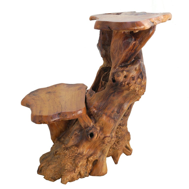 Unknown Freeform Sculptural Organic Natural Tree Root Wood Pedestal Plant Stand Table For Sale