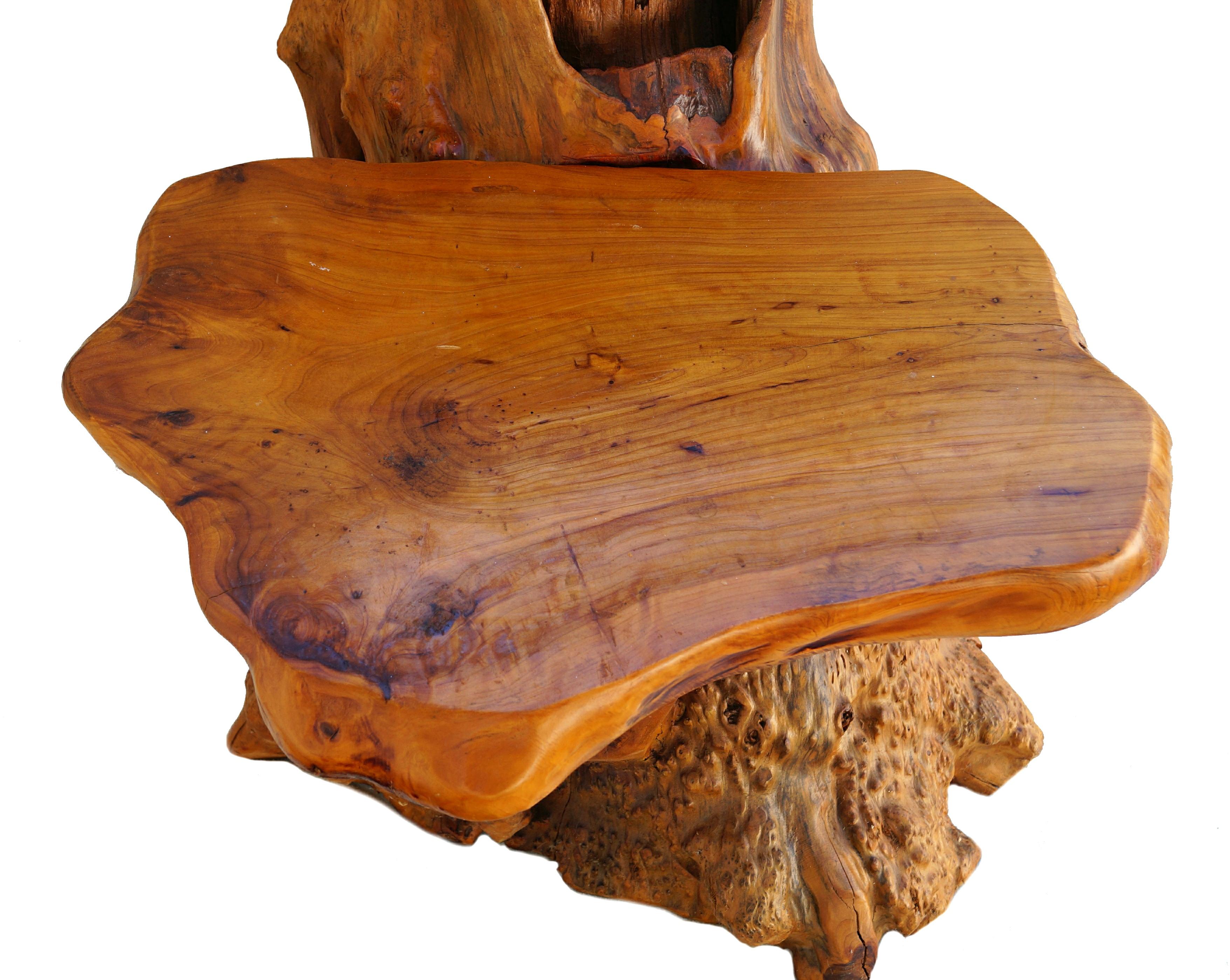 Organic Modern Freeform Sculptural Organic Natural Tree Root Wood Pedestal Plant Stand Table For Sale