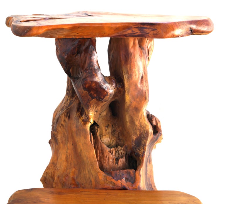 Freeform Sculptural Organic Natural Tree Root Wood Pedestal Plant Stand Table For Sale 2
