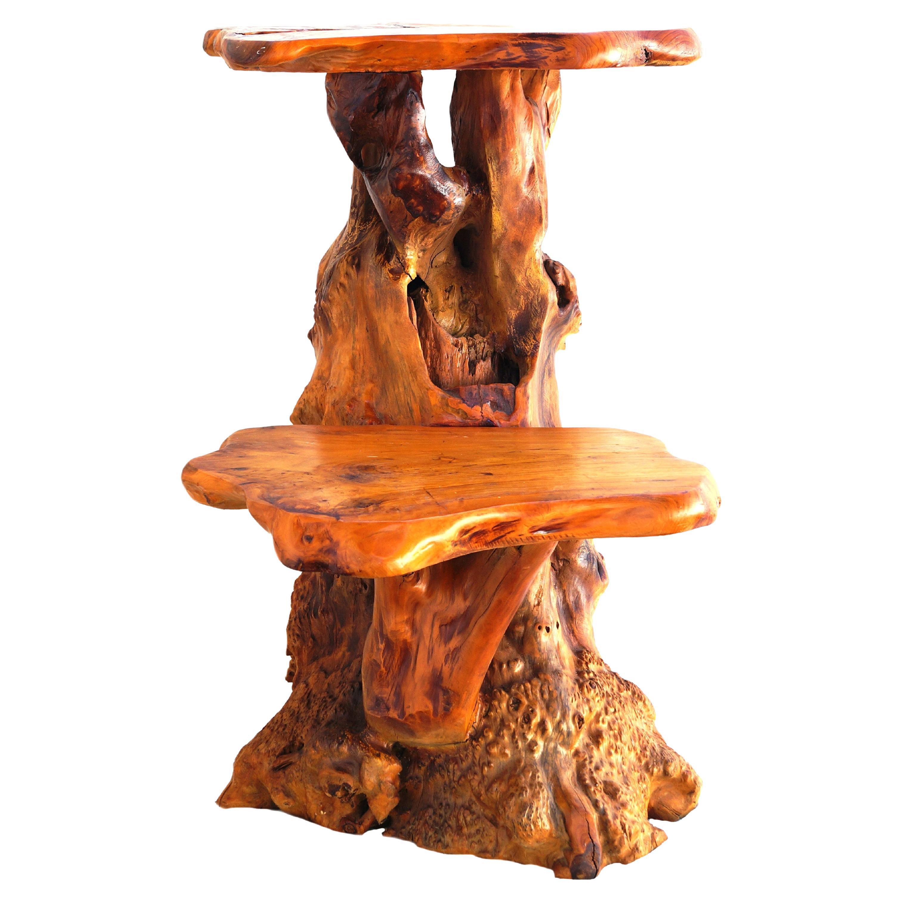Freeform Sculptural Organic Natural Tree Root Wood Pedestal Plant Stand Table