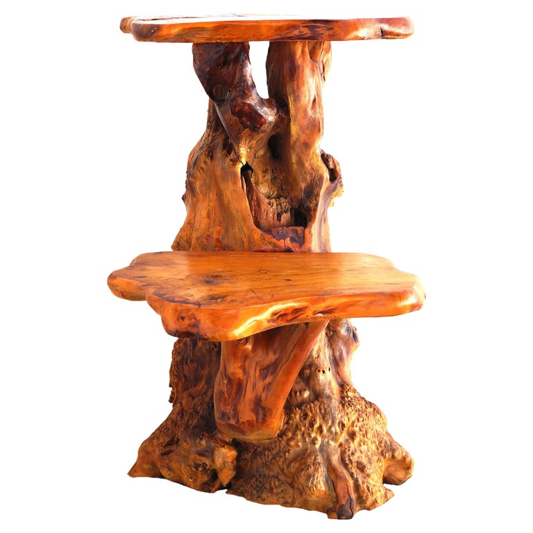 Freeform Sculptural Organic Natural Tree Root Wood Pedestal Plant Stand Table For Sale