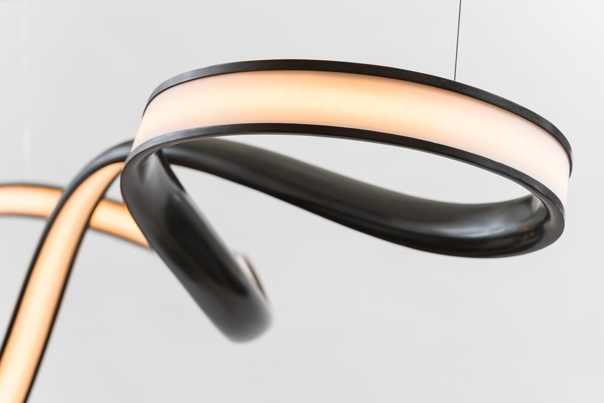 Américain Série Freeform Sculpture lumineuse XV:: USA en vente