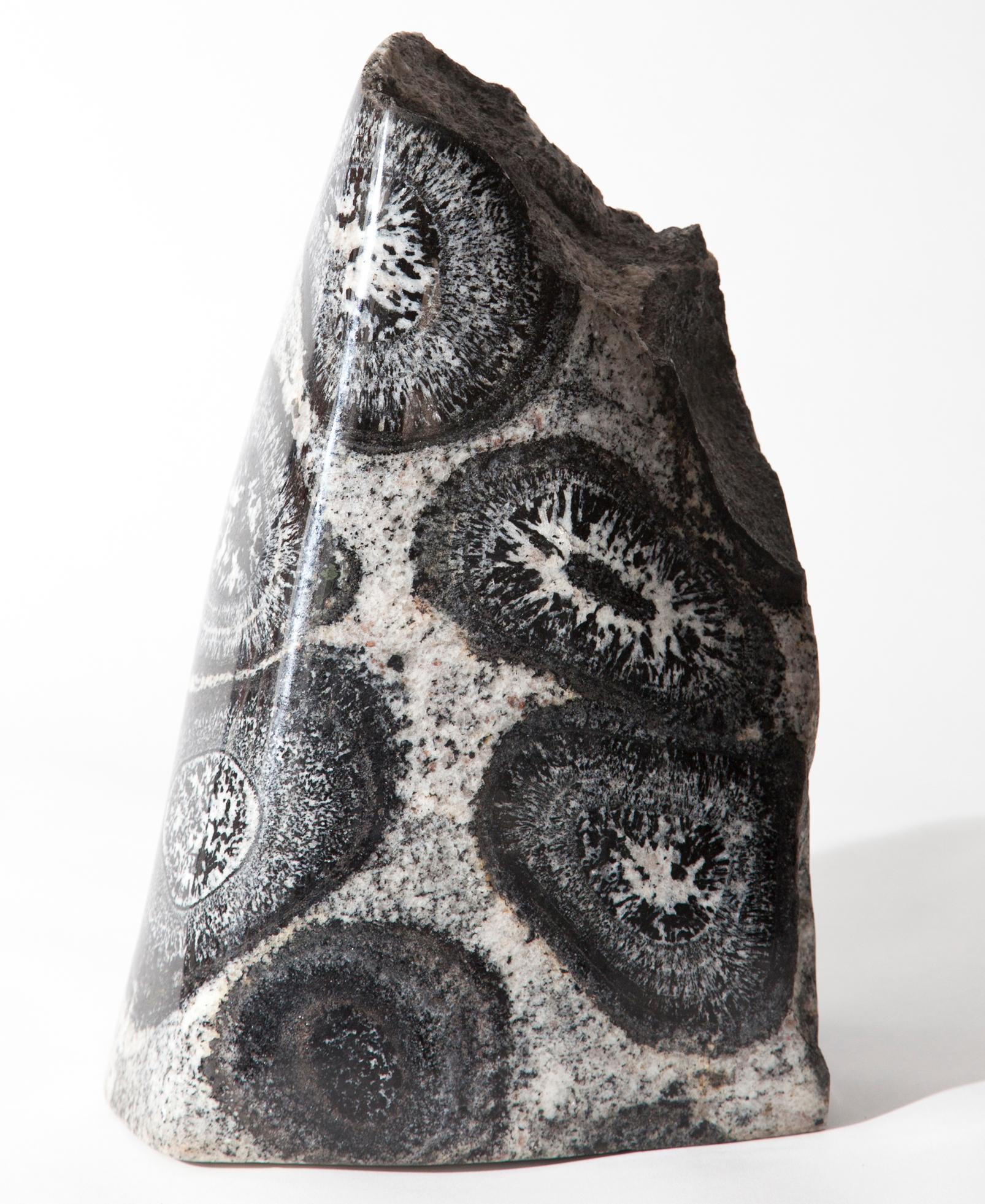 warhol shells granite