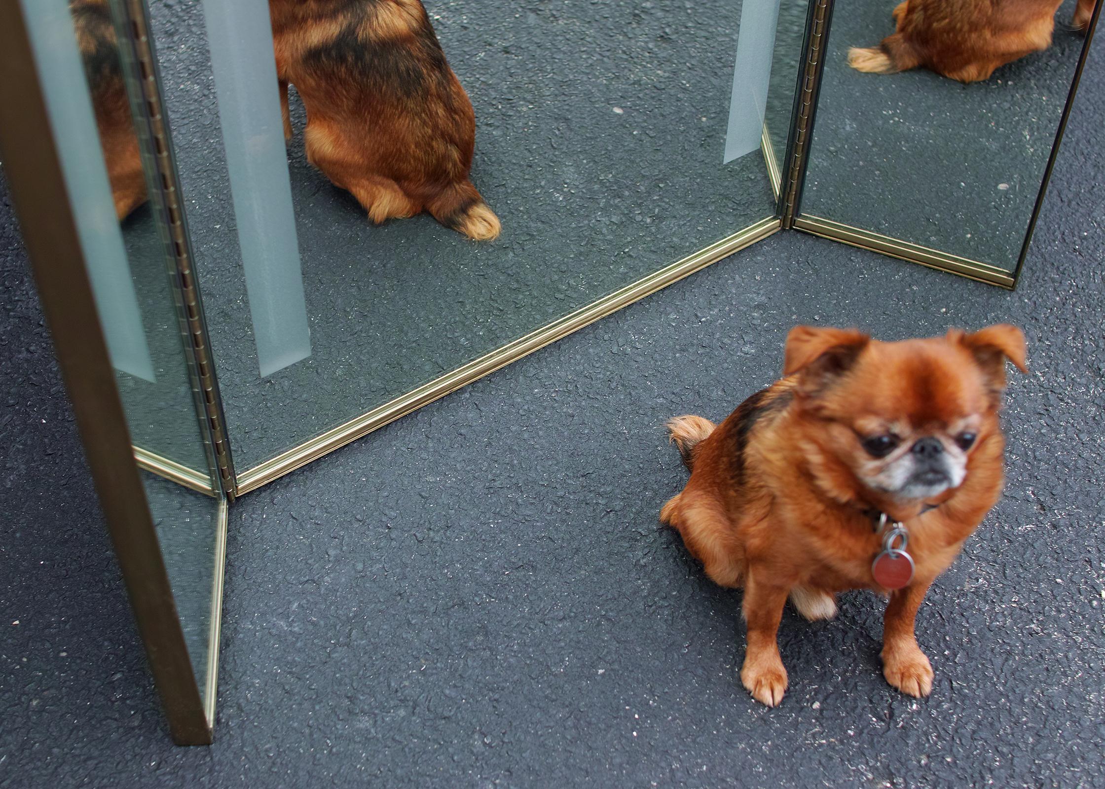 tri fold mirror full length