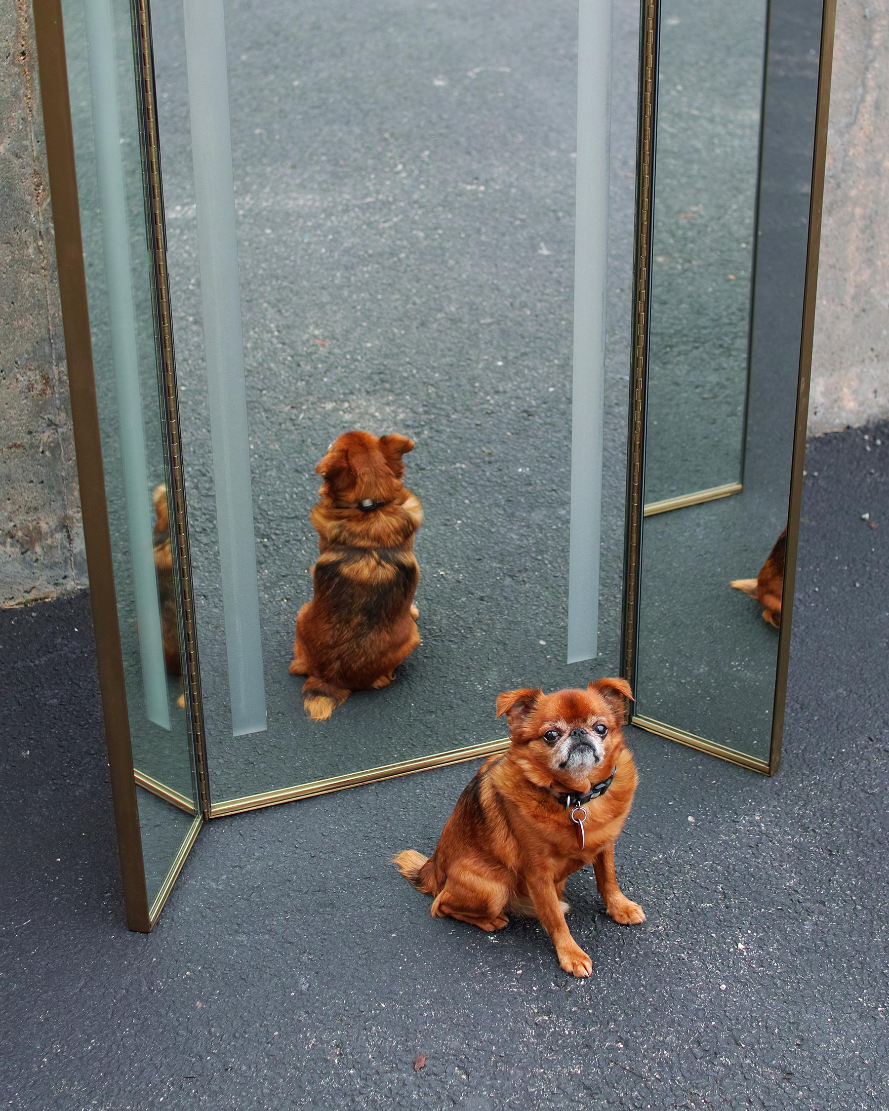 Metal Freestanding Full Length Tri-Fold Dressing Mirror