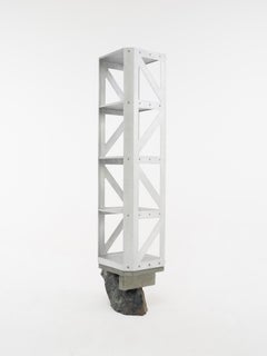 Scaffale indipendente, 'Foreign Bodies LP-35A (alluminio) - di Collin Velkoff'.