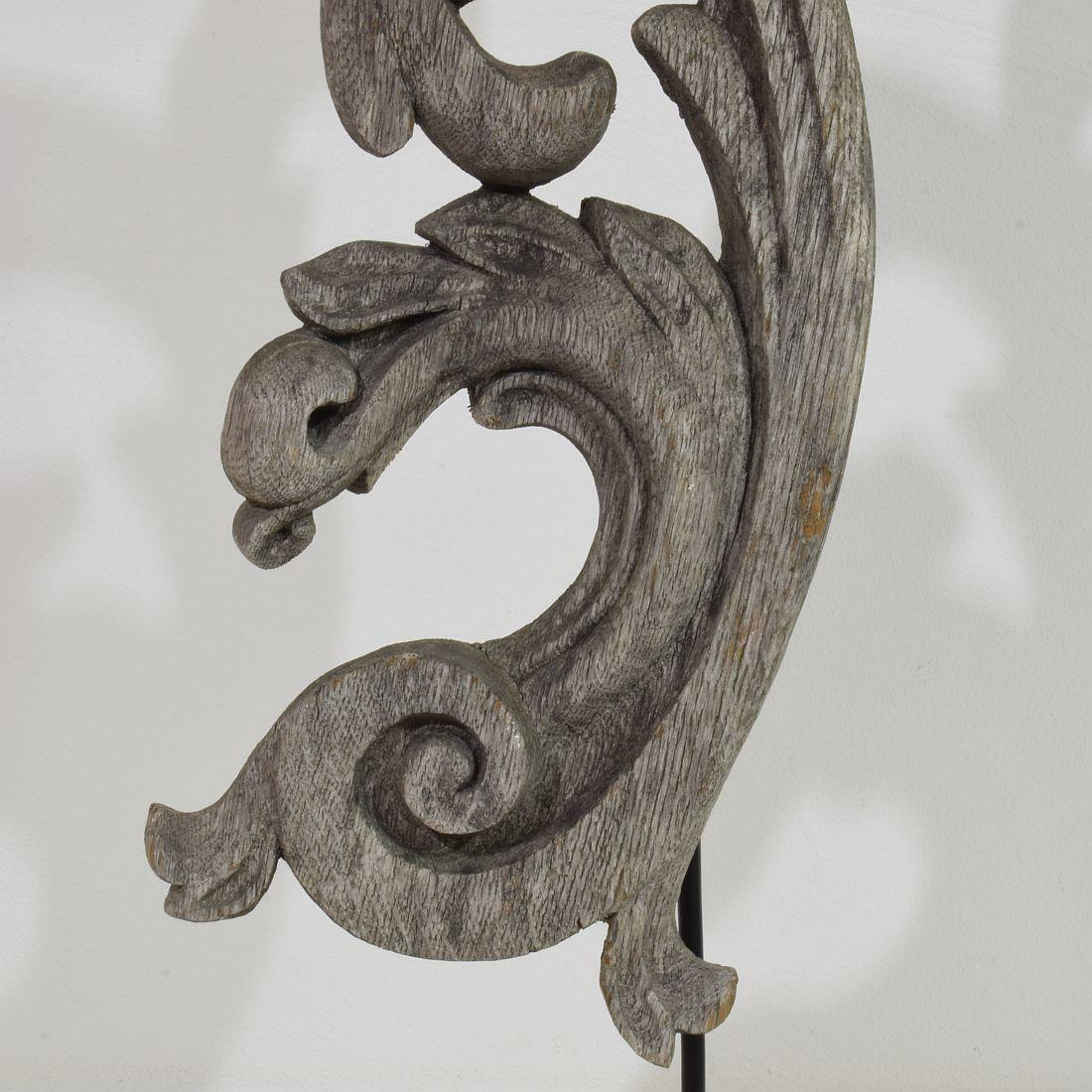 French 17/ 18th Century  Hand Carved Oak Baroque Curl Ornament For Sale 5