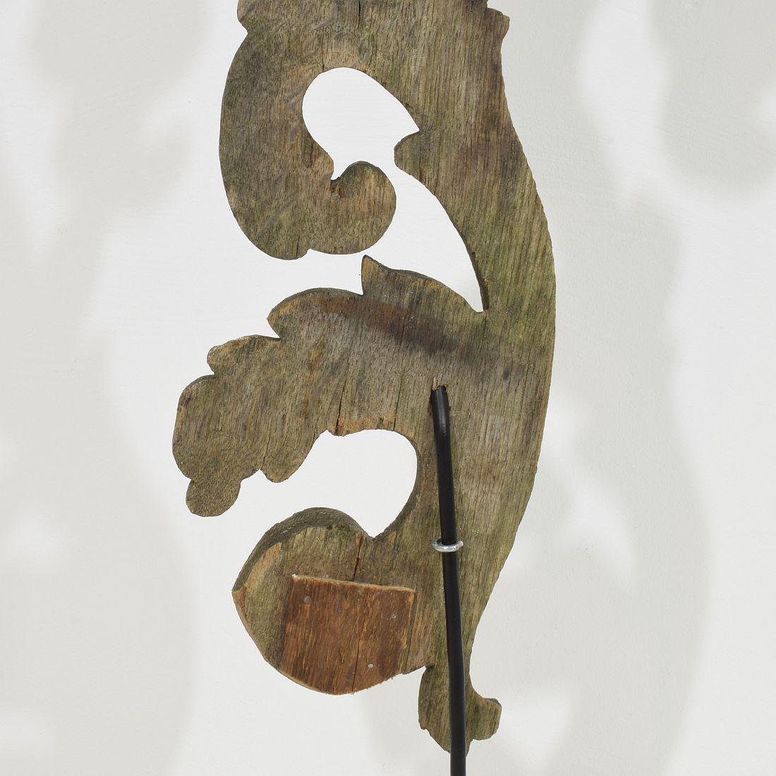 French 17/ 18th Century  Hand Carved Oak Baroque Curl Ornament For Sale 7