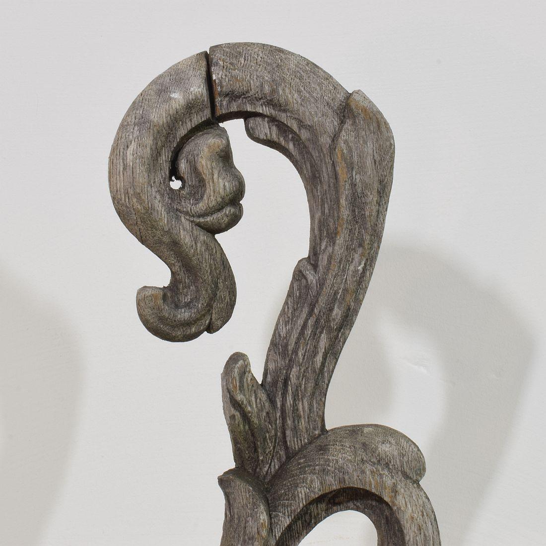 French 17/ 18th Century  Hand Carved Oak Baroque Curl Ornament For Sale 3