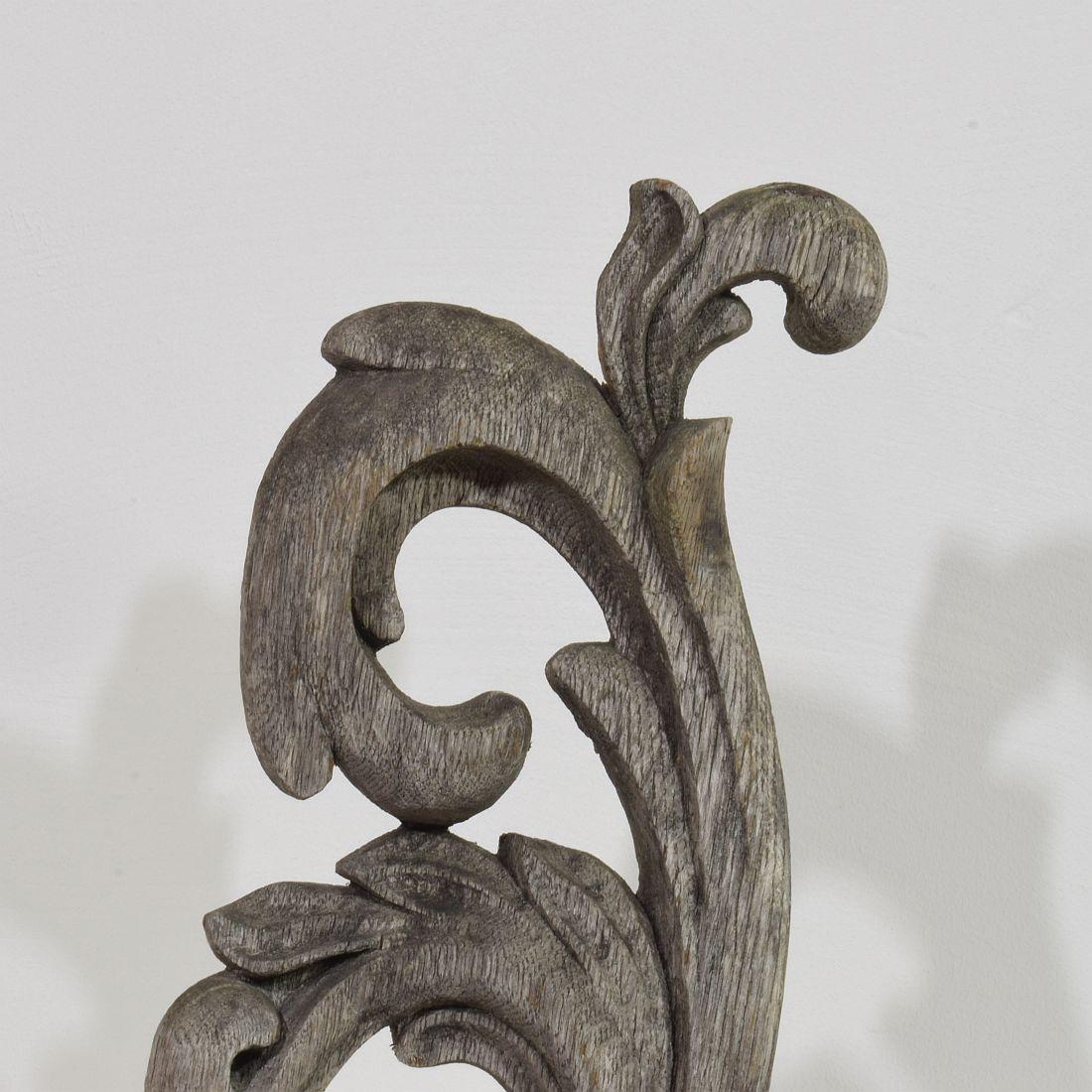 French 17/ 18th Century  Hand Carved Oak Baroque Curl Ornament For Sale 4