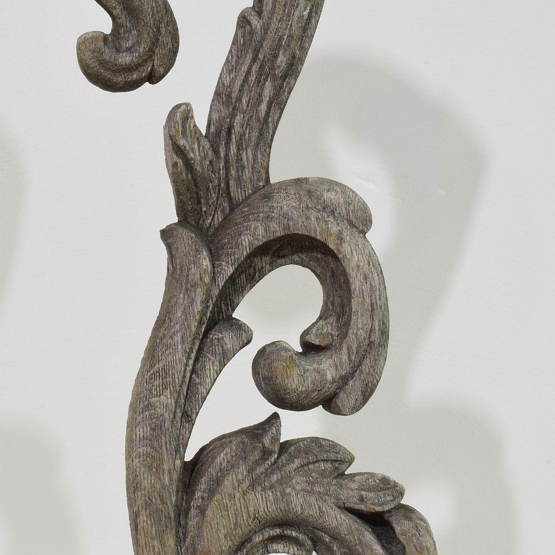 French 17/ 18th Century  Hand Carved Oak Baroque Curl Ornament For Sale 4