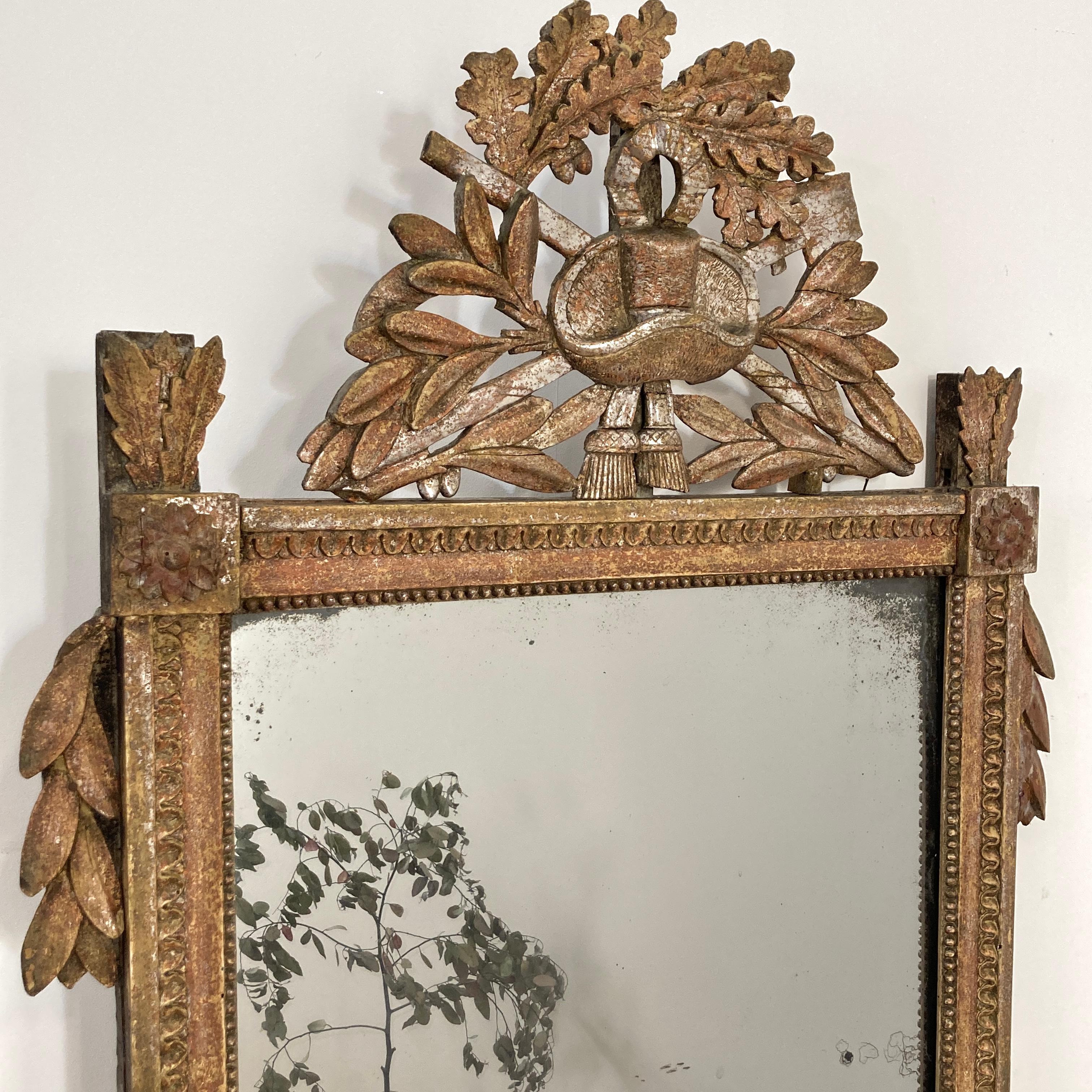 French 1790s Louis XVI Giltwood Wall Mirror with Carved Gardening Crest For Sale 7