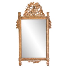 French 1790s Louis XVI Giltwood Wall Mirror with Carved Gardening Crest