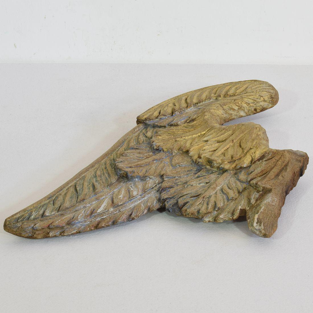 French 17th/18th Century, Carved Oak Wing of an Angel 6