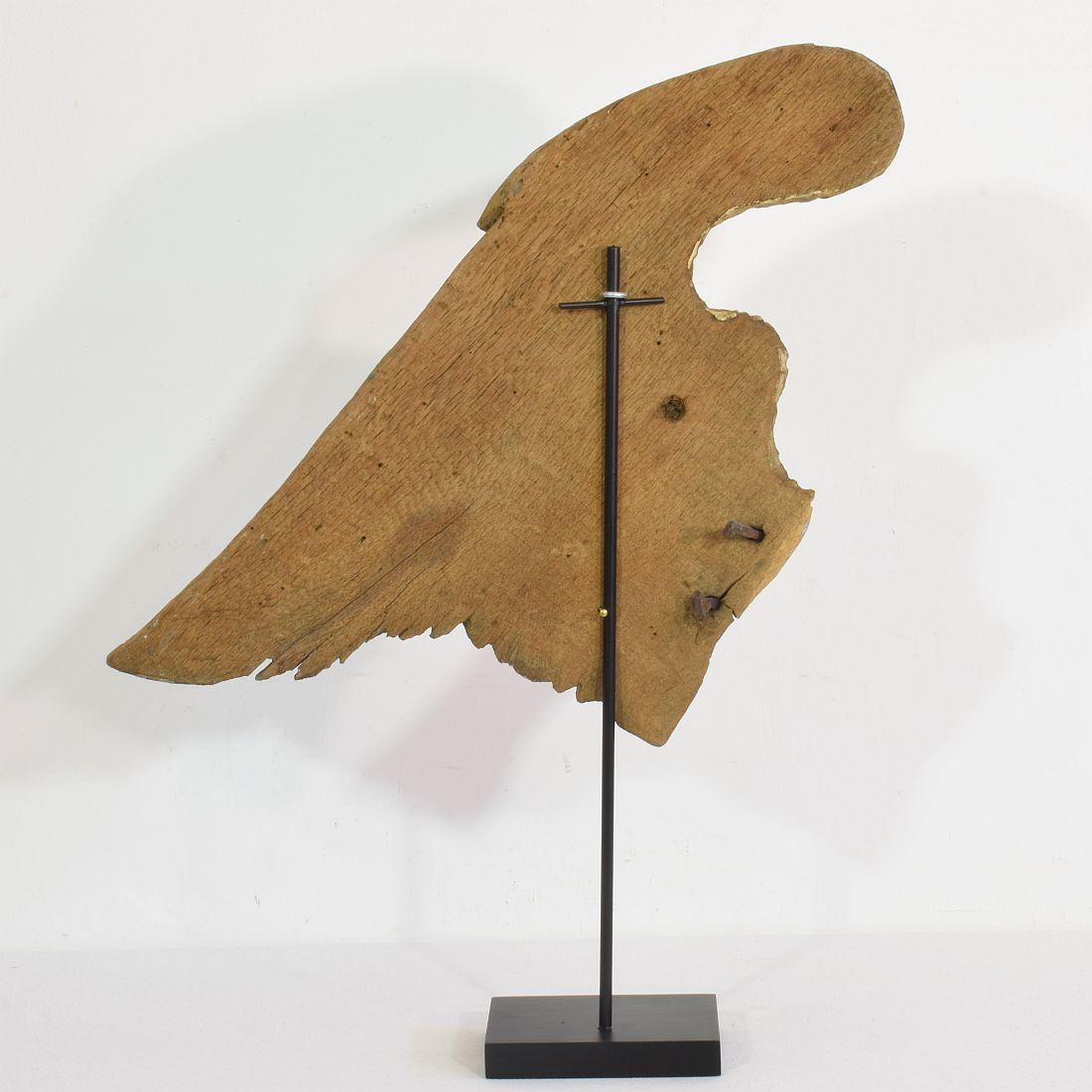 French 17th/18th Century, Carved Oak Wing of an Angel In Good Condition In Buisson, FR
