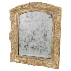 French 17th Century Louis XIV Silver Leaf Wall Mirror