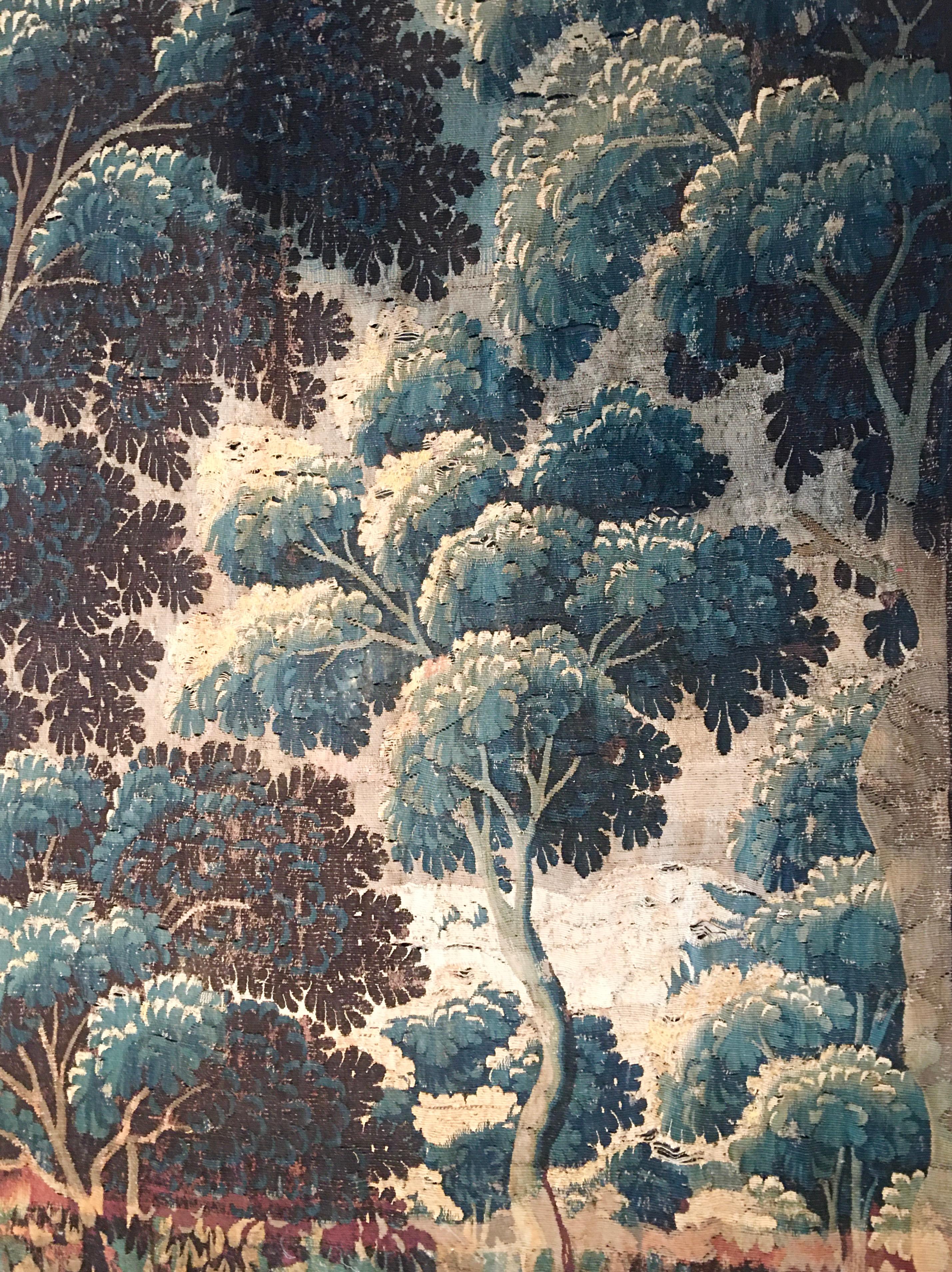 French 17th Century Aubusson Verdure Tapestry 12