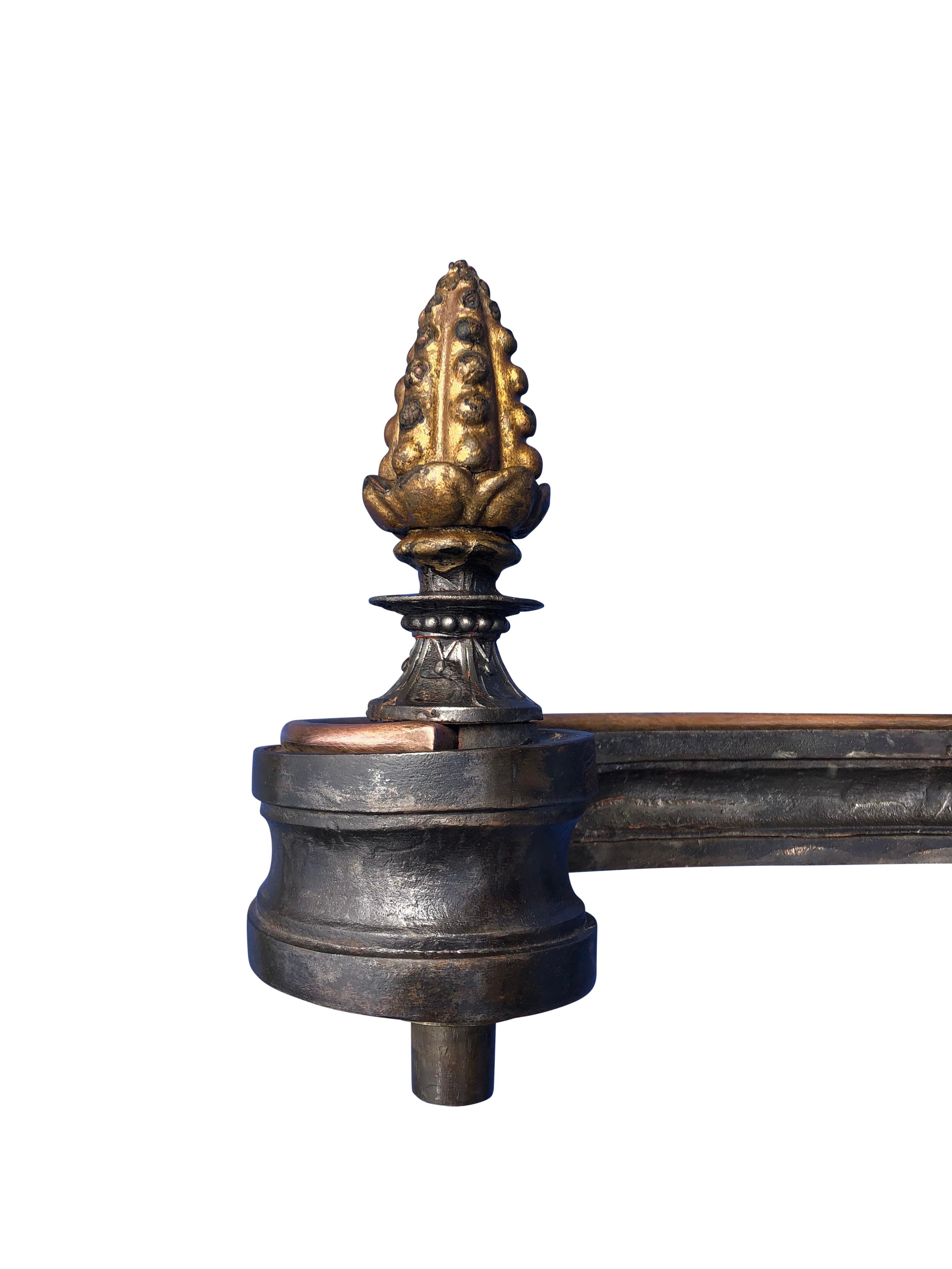 Napoleon III French 1800s Iron and Brass Lions Head Light with Scroll and Finial Designs For Sale