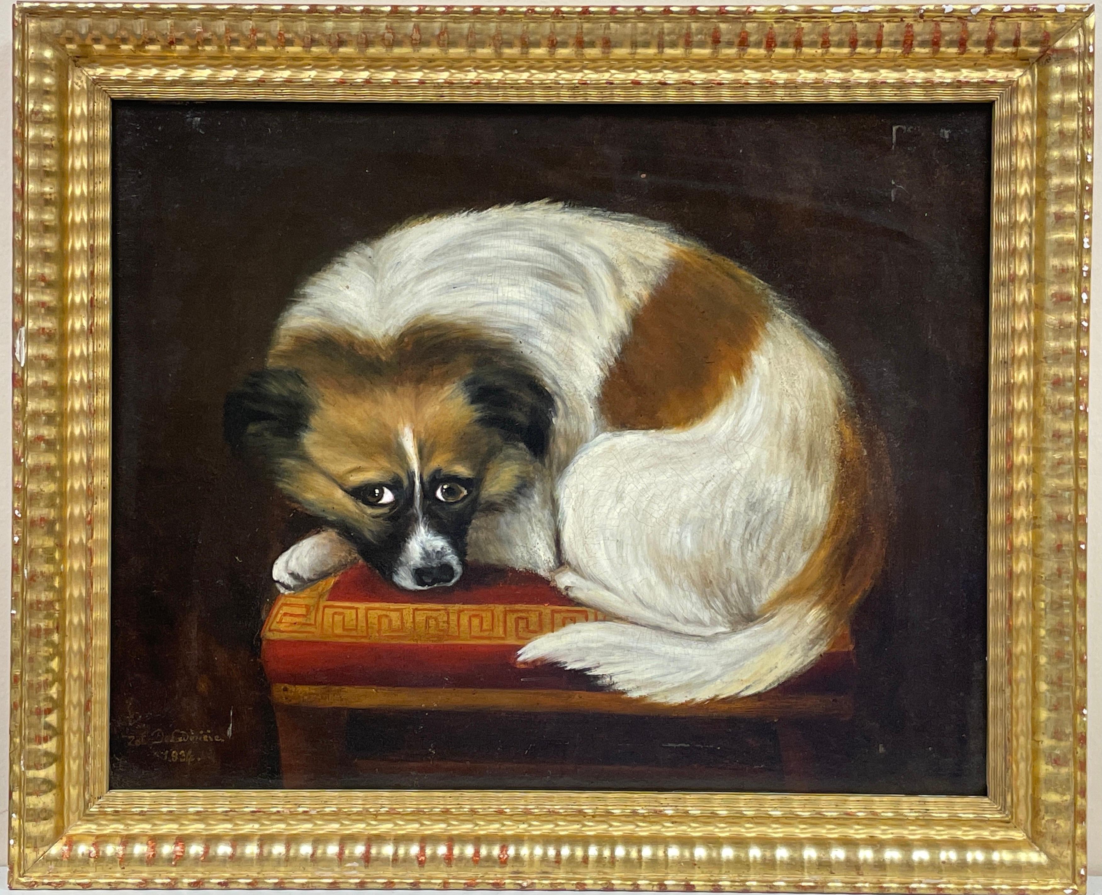 French 1830's Interior Painting - 1830's French Dog Painting - Signed Oil of Dog resting on Cushion - Gilt Framed