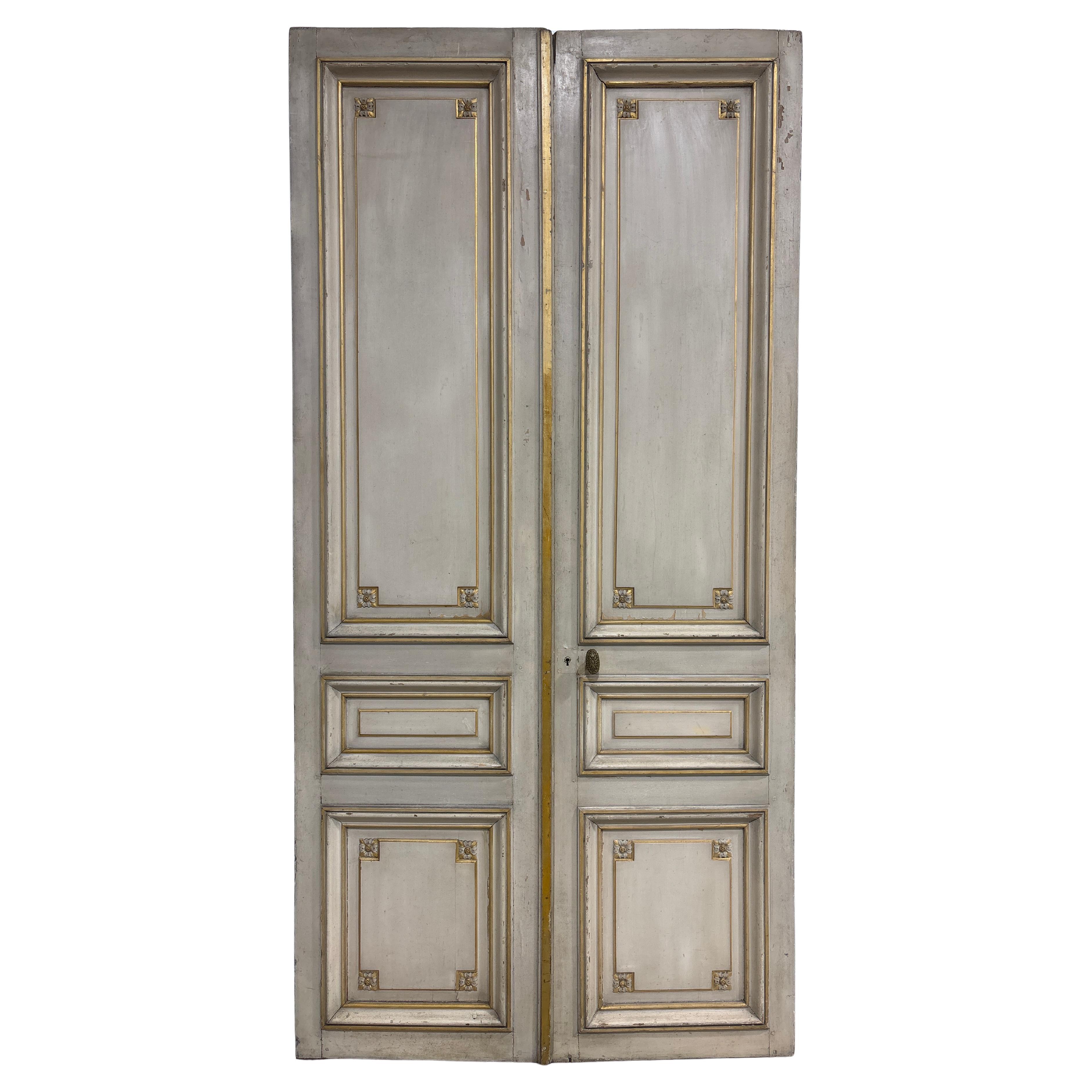 French 18h Century Louis XVI pair of Doors For Sale
