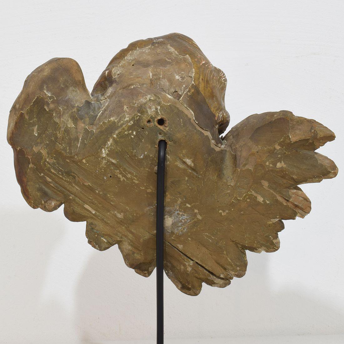 Französisch 18. Jahrhundert Barock geschnitzt Giltwood geflügelten Engel Kopf im Angebot 4