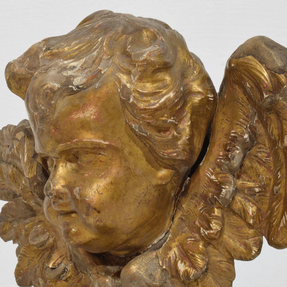 Tête d'ange ailée en bois doré sculpté du XVIIIe siècle en vente 3