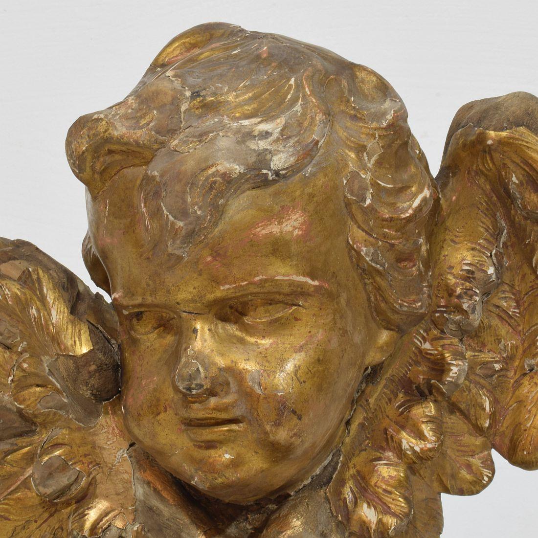 French 18th Century Baroque Carved Giltwood Winged Angel Head For Sale 5