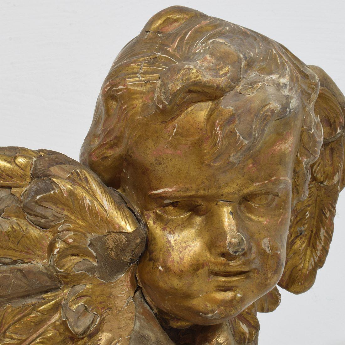 Französisch 18. Jahrhundert Barock geschnitzt Giltwood geflügelten Engel Kopf im Angebot 7