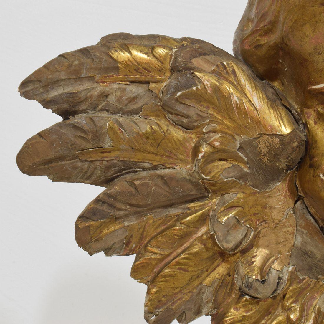 Tête d'ange ailée en bois doré sculpté du XVIIIe siècle en vente 6