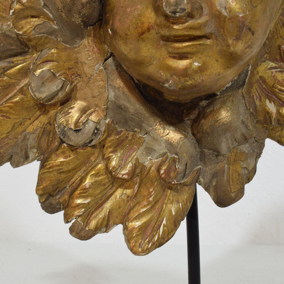 Tête d'ange ailée en bois doré sculpté du XVIIIe siècle en vente 7