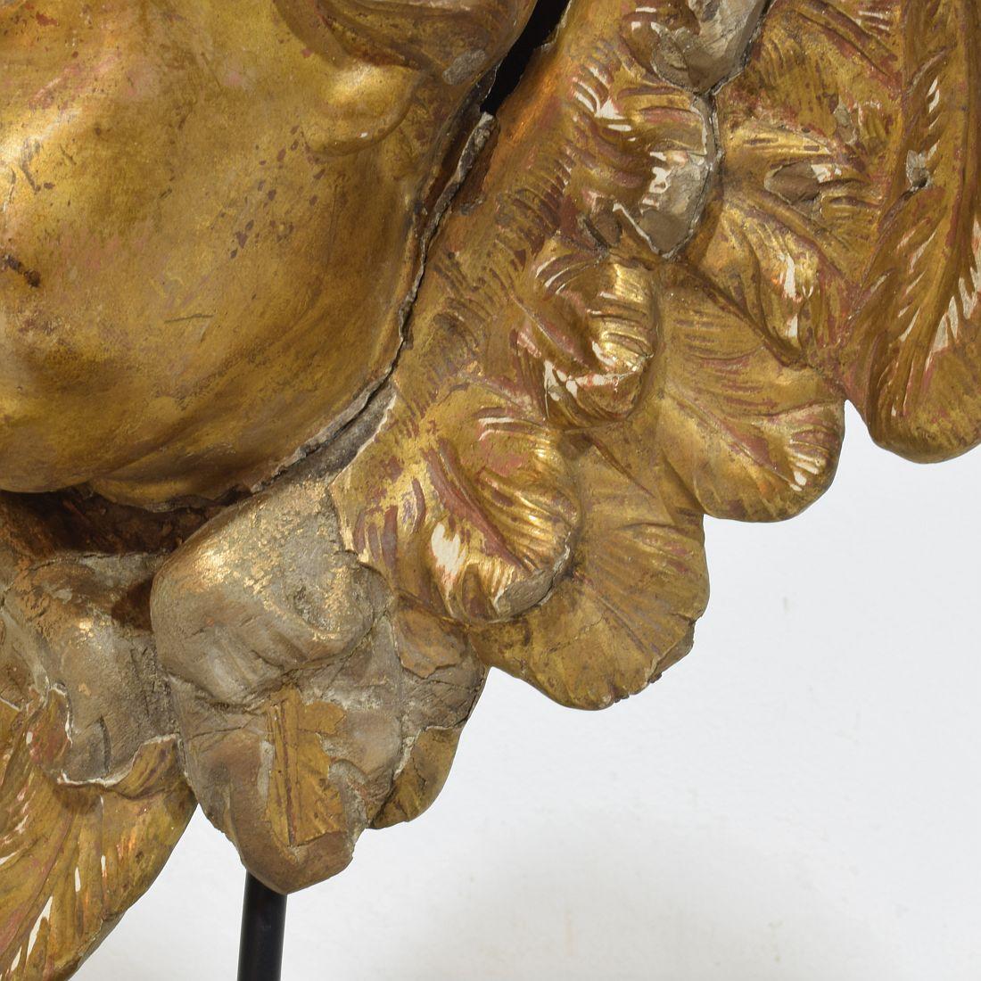 Französisch 18. Jahrhundert Barock geschnitzt Giltwood geflügelten Engel Kopf im Angebot 10