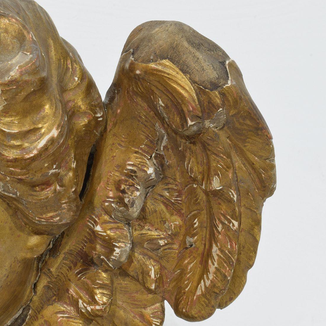 Französisch 18. Jahrhundert Barock geschnitzt Giltwood geflügelten Engel Kopf im Angebot 11