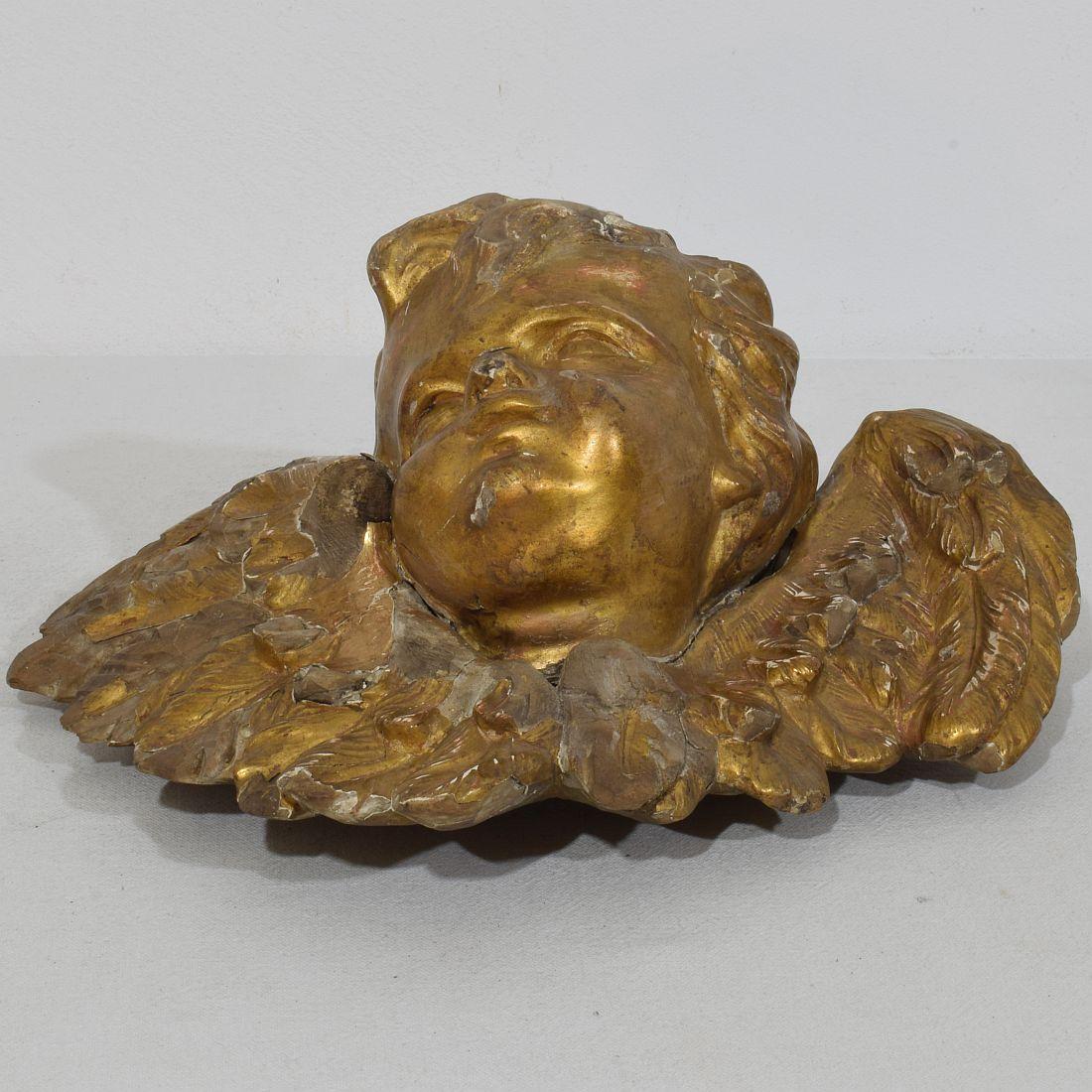Tête d'ange ailée en bois doré sculpté du XVIIIe siècle en vente 11