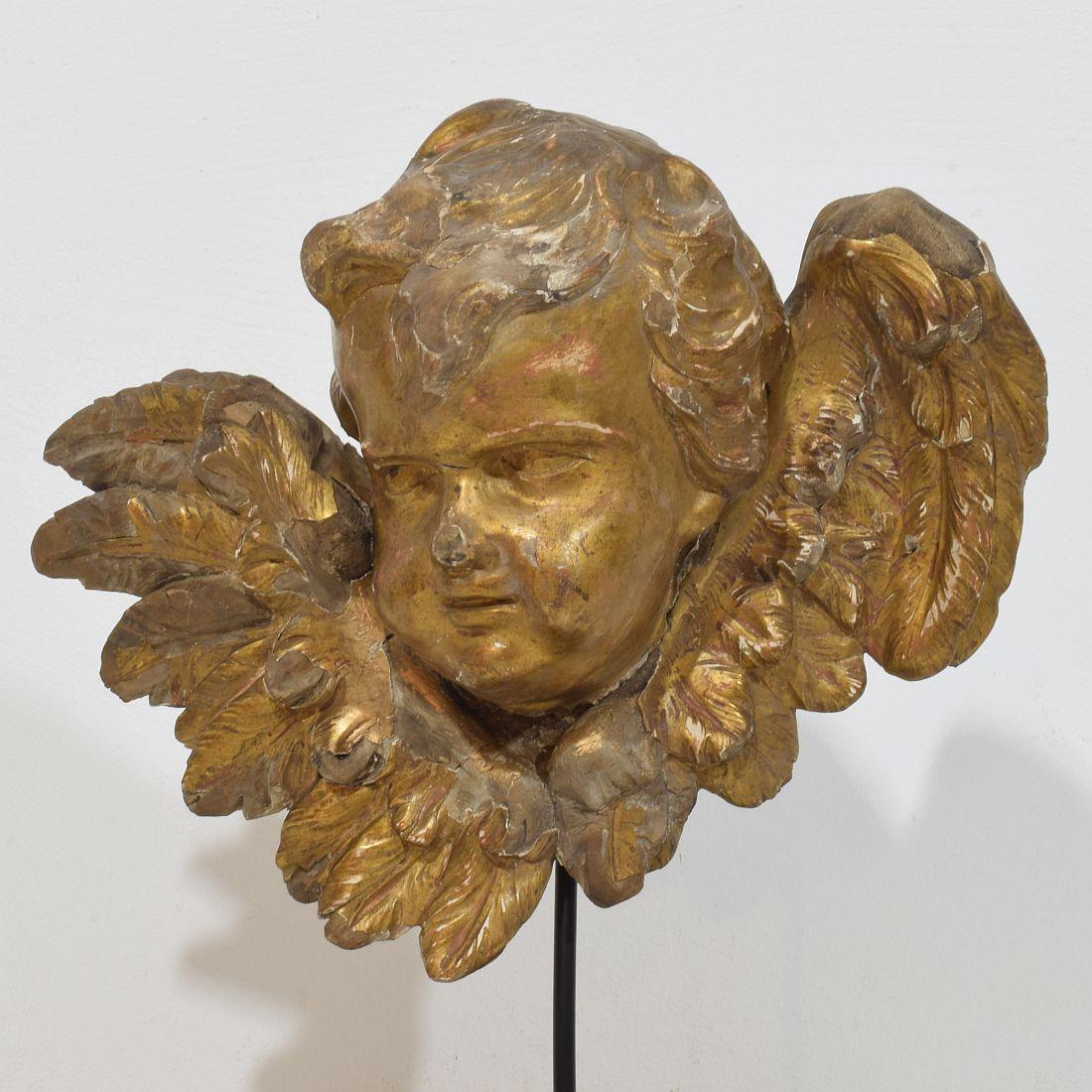 Wood French 18th Century Baroque Carved Giltwood Winged Angel Head For Sale