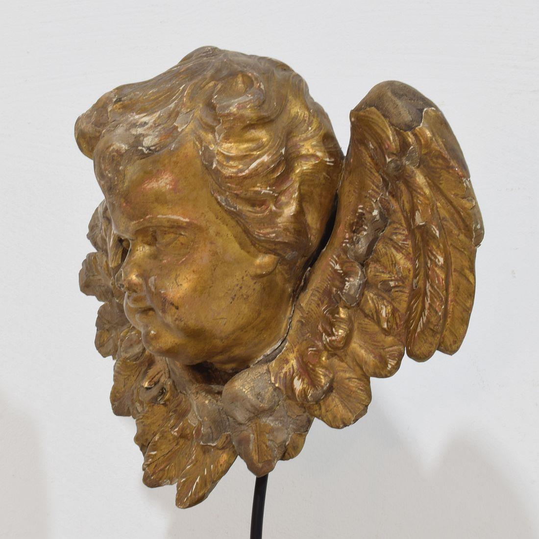 French 18th Century Baroque Carved Giltwood Winged Angel Head For Sale 1