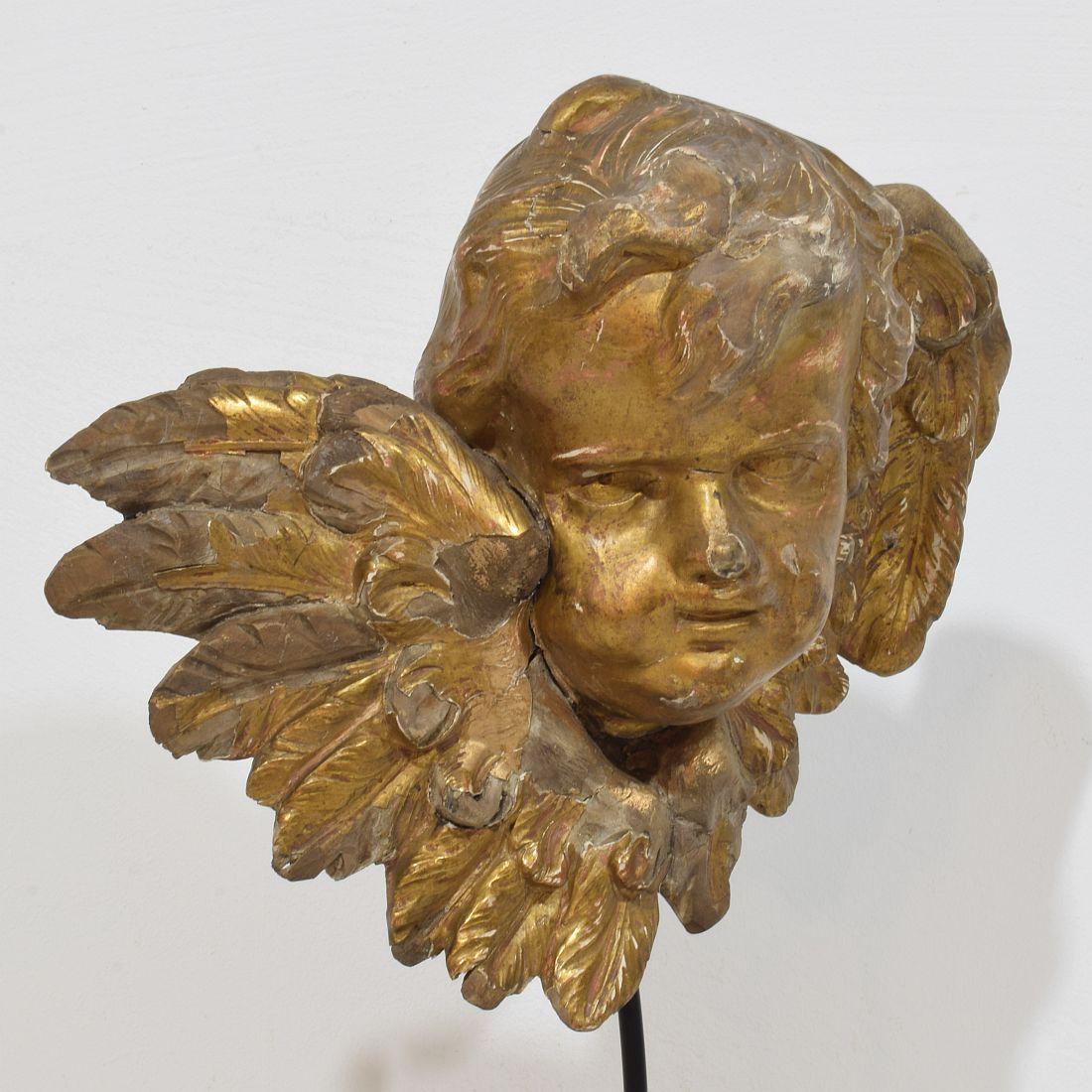French 18th Century Baroque Carved Giltwood Winged Angel Head For Sale 3