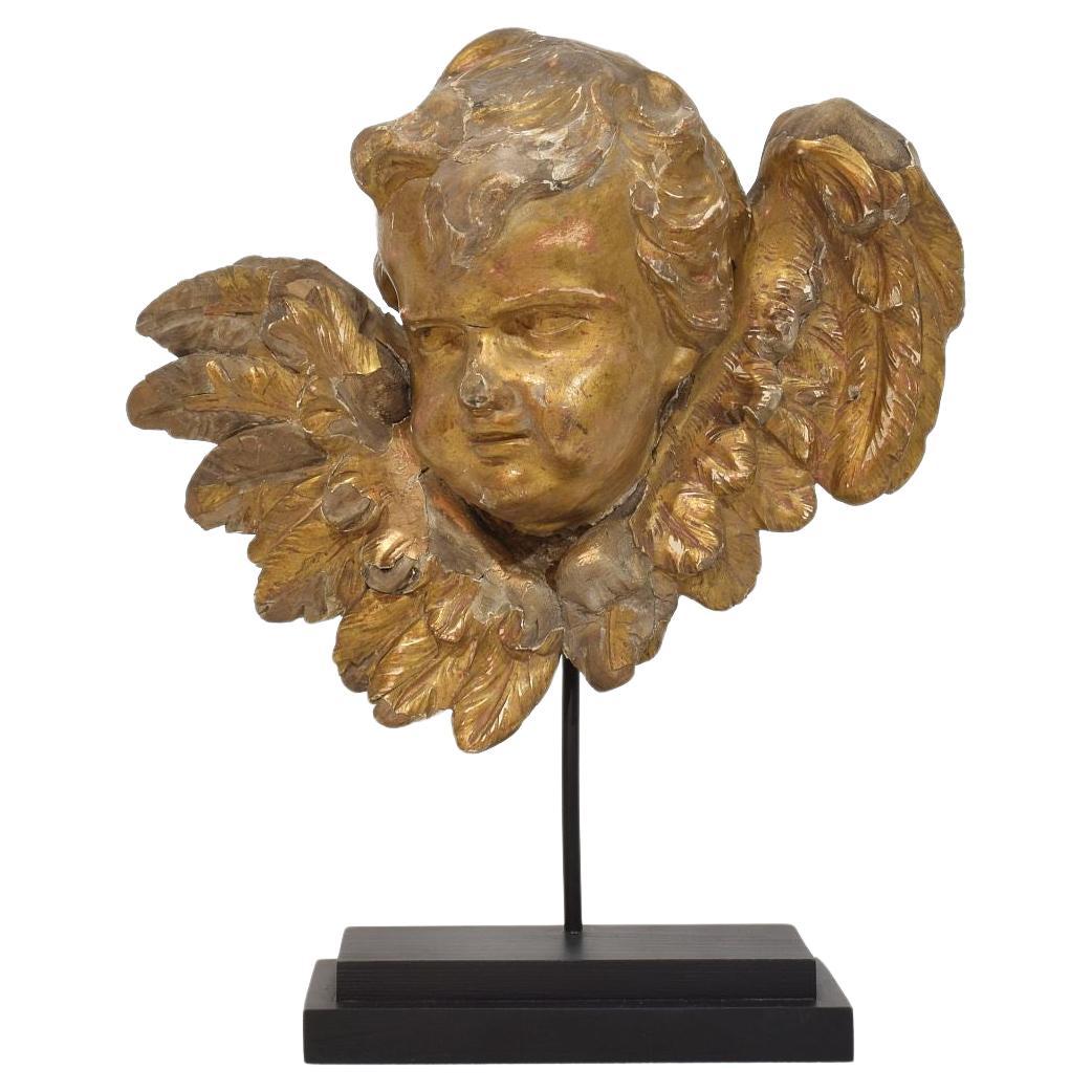 French 18th Century Baroque Carved Giltwood Winged Angel Head