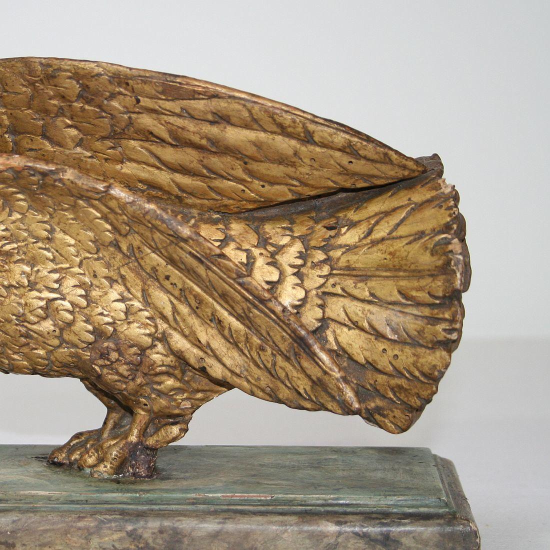 French 18th Century Carved Wooden Dove 4