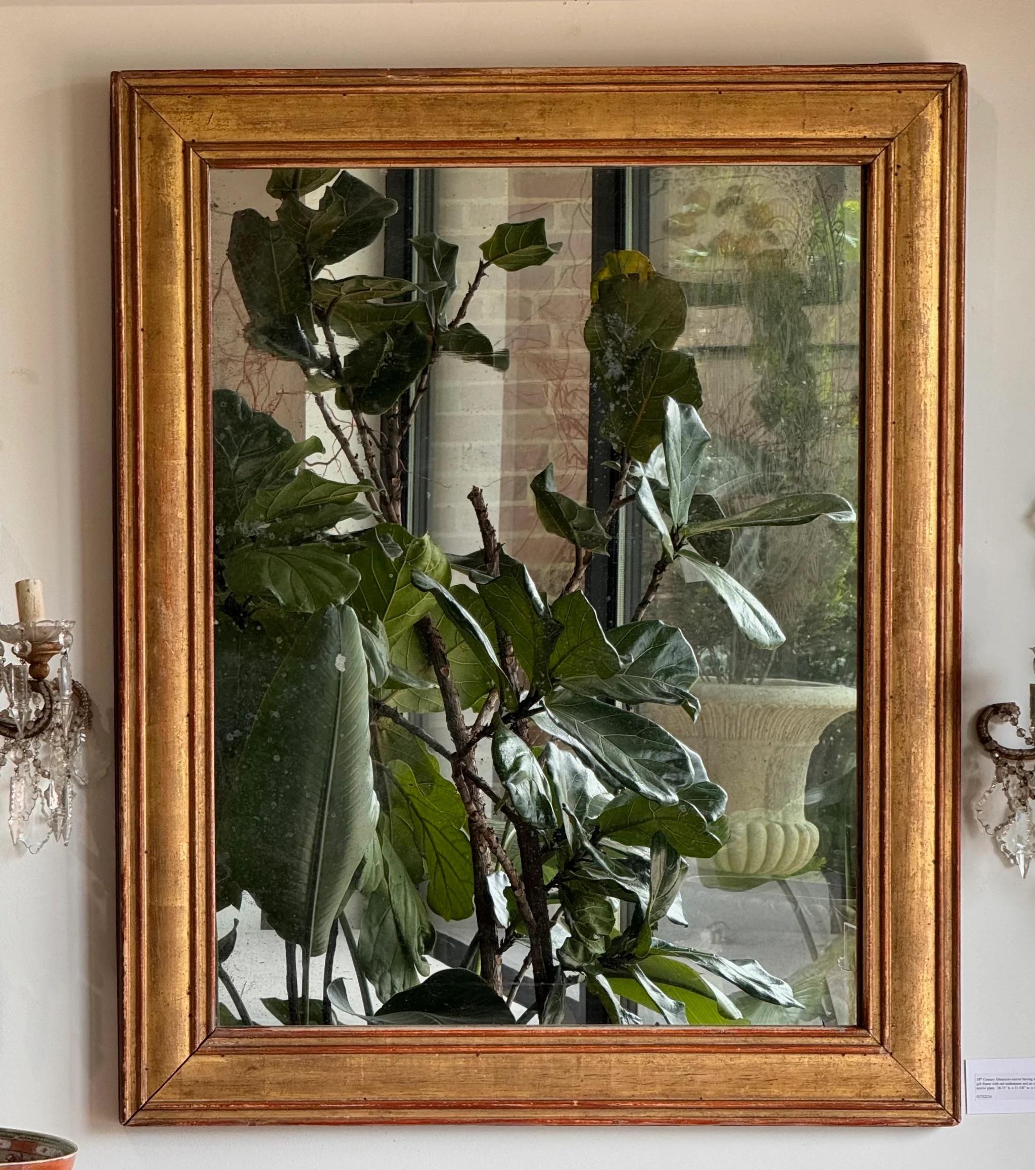 Glass French 18th Century Directoire Gilded Rectangular Mirror, Red undertones