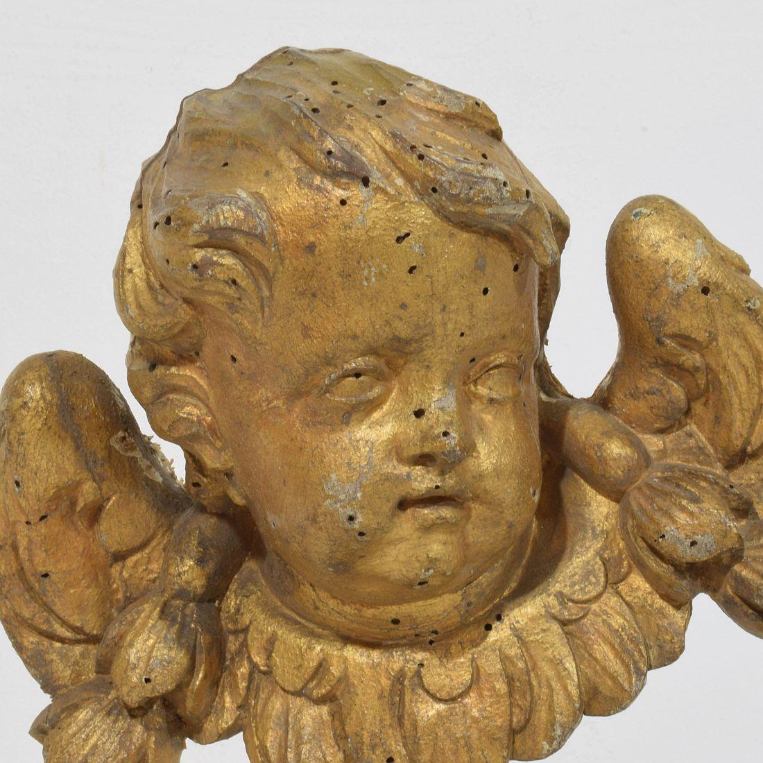 French 18th Century Hand Carved  Baroque Winged Angel Head 3