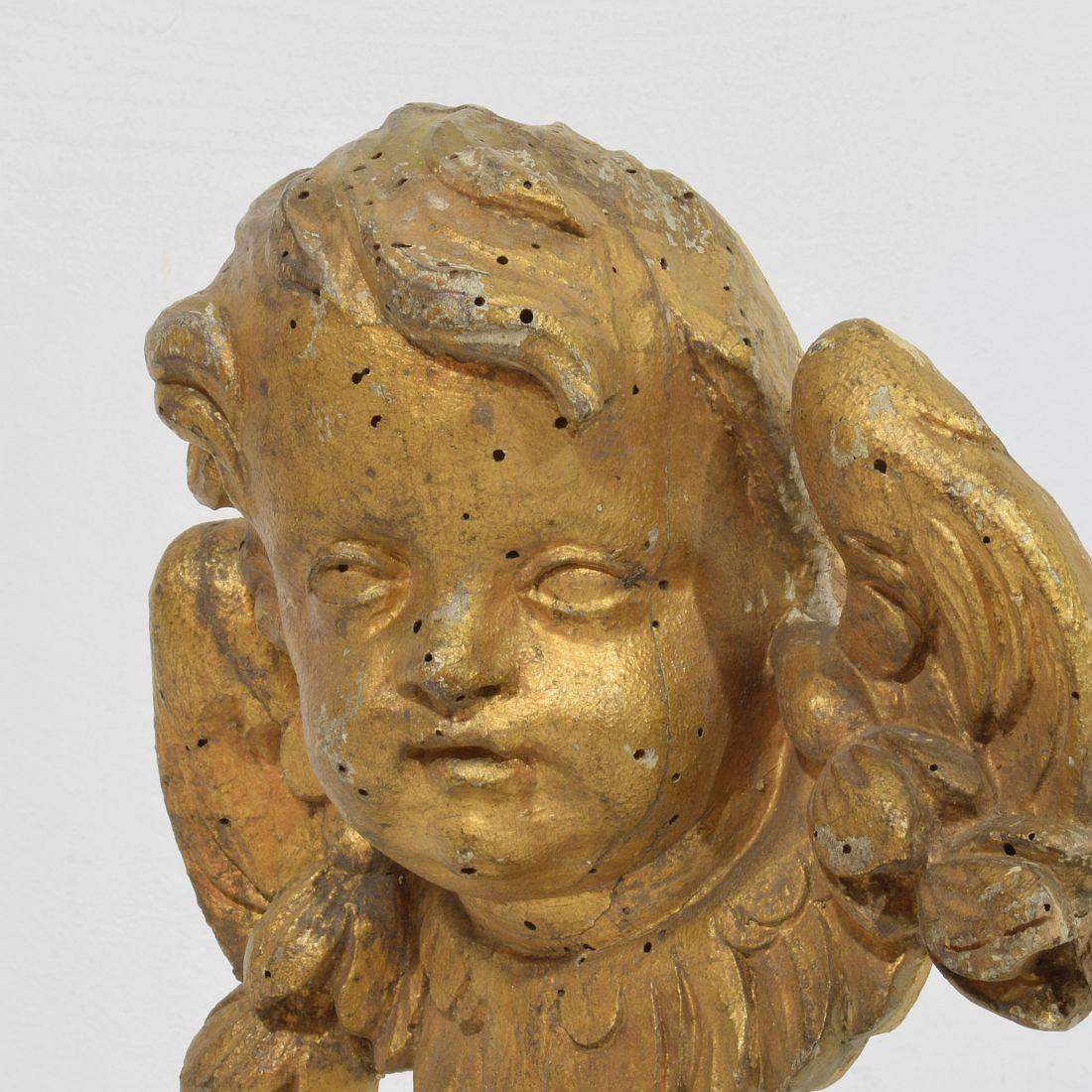 French 18th Century Hand Carved  Baroque Winged Angel Head 4