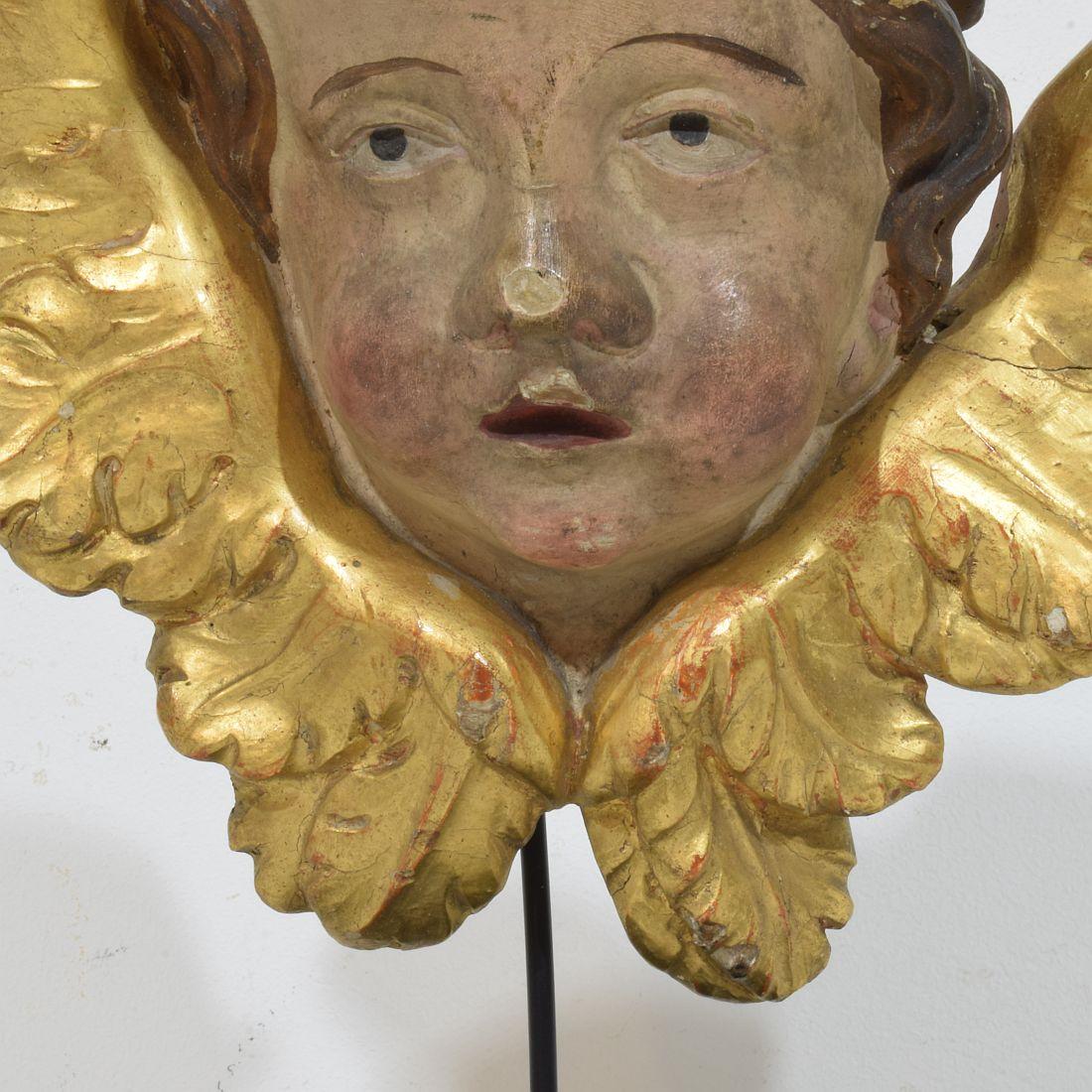 Francese del 18° secolo intagliato a mano  Testa d'angelo alata barocca in vendita 4