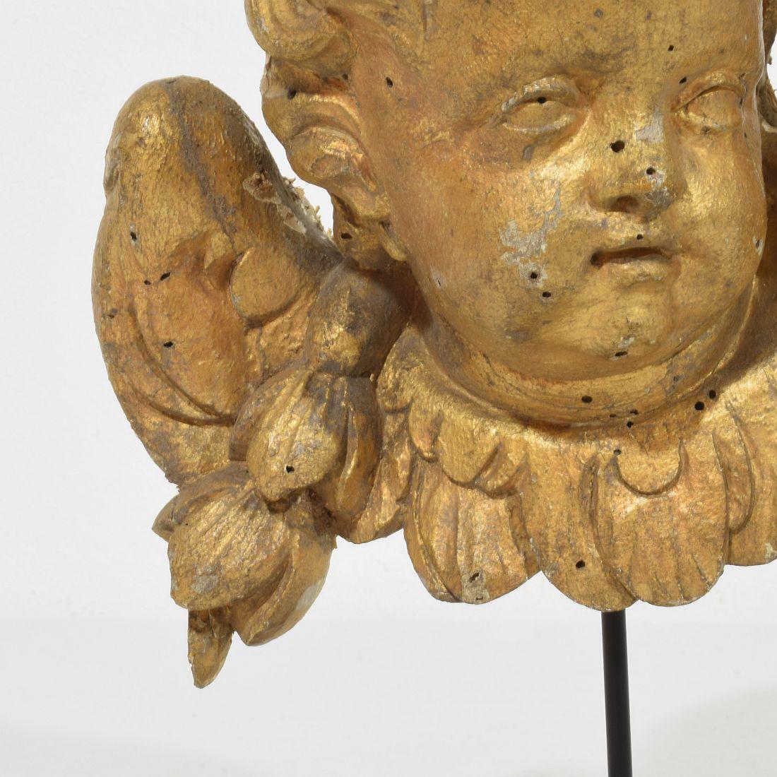 French 18th Century Hand Carved  Baroque Winged Angel Head 6