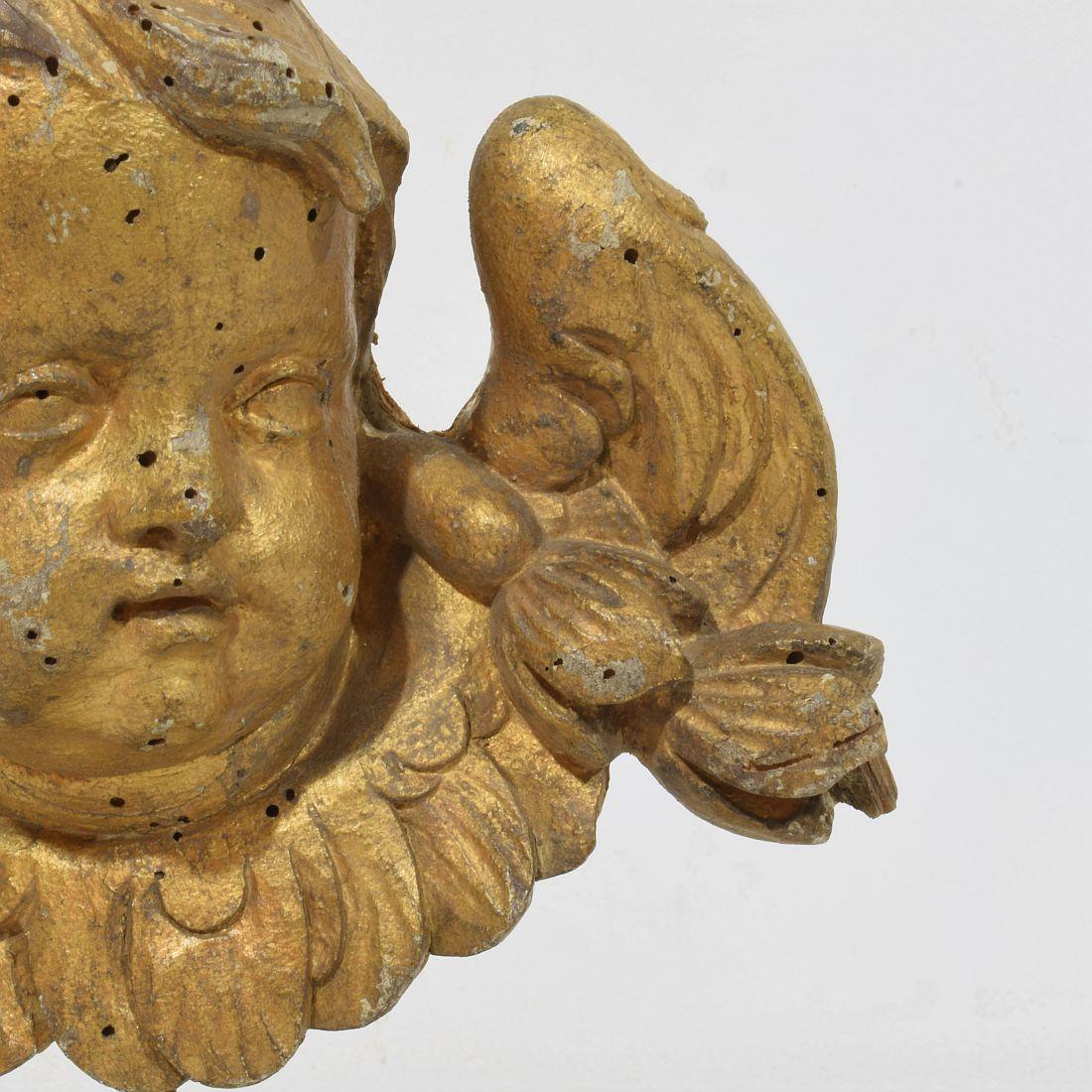 French 18th Century Hand Carved  Baroque Winged Angel Head 7