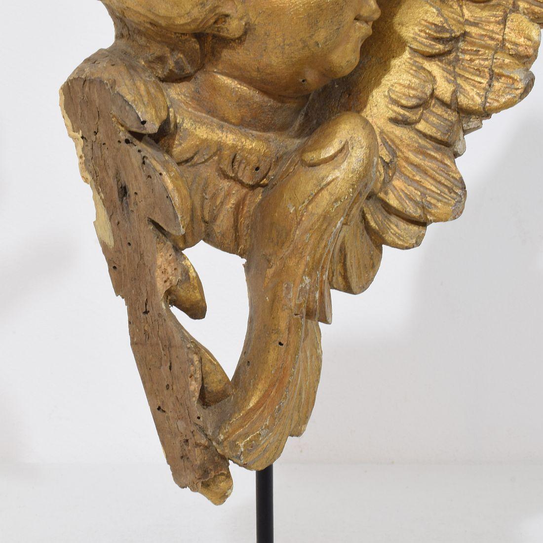 French 18th Century Hand Carved  Baroque Winged Angel Head For Sale 8