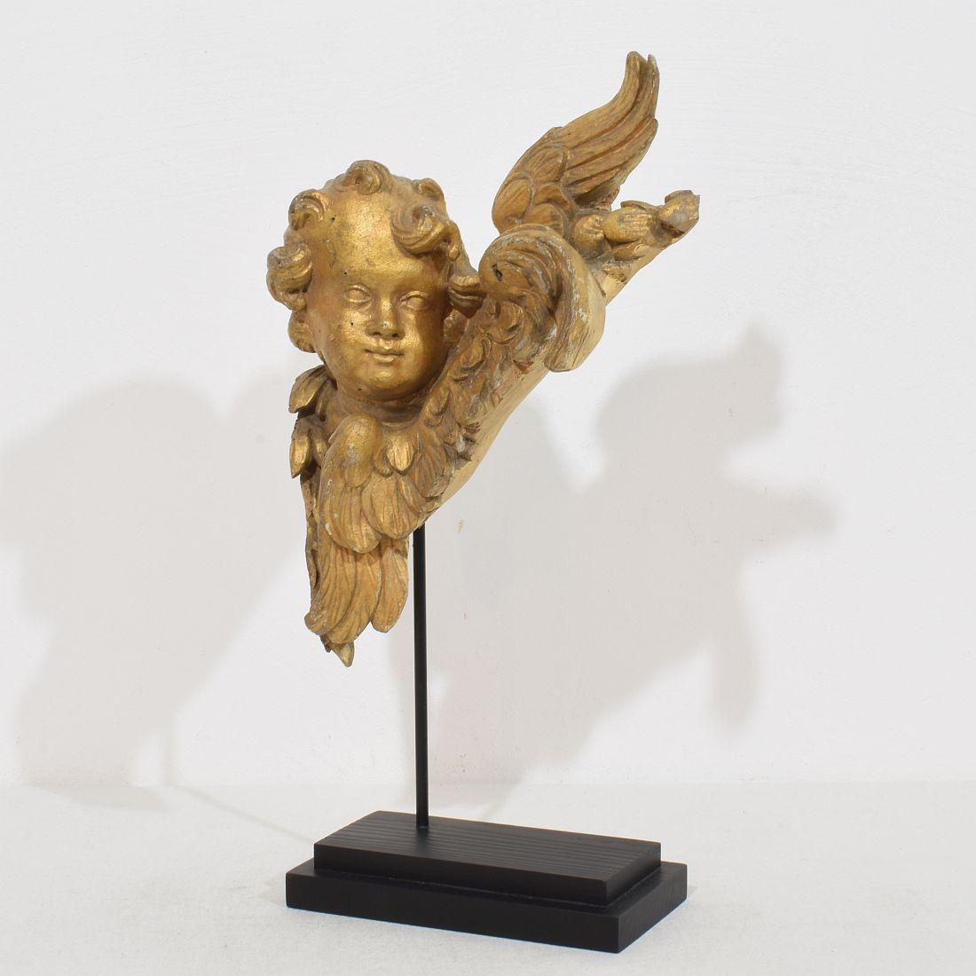 Wonderful Hand carved winged angelhead with its original gilding.
France, circa 1750
Weathered small losses. Treated against wood worm
Measurement here below inclusive the wooden base.
H:39,5cm  W:22cm D:12cm 