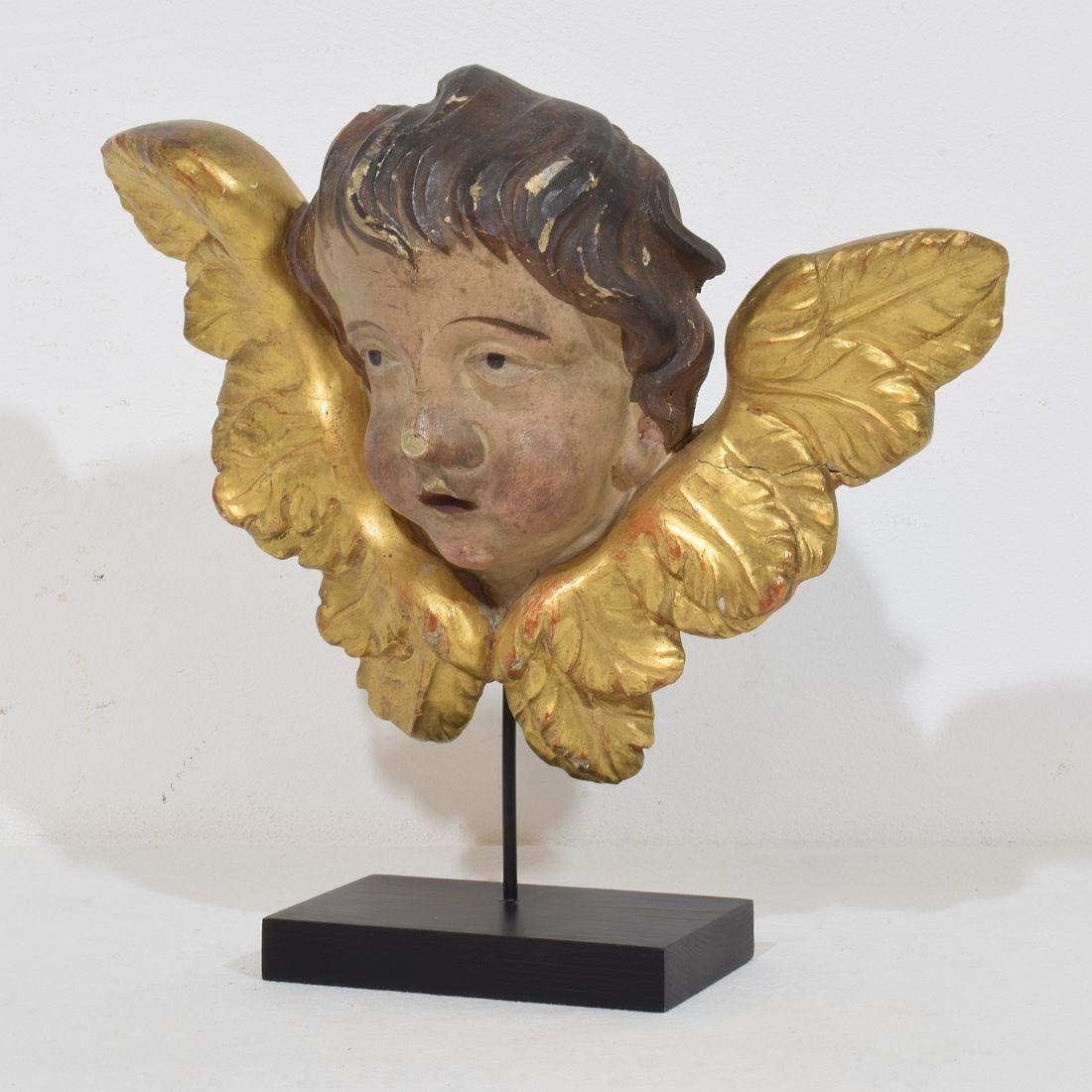 Meraviglioso  testa d'angelo alata intagliata a mano con colore e doratura originali.
Francia, 1750 circa
Intemperie e piccole perdite e vecchie riparazioni. Trattato contro i tarli.
La misura qui sotto comprende la base in legno.
H. H. 23,5 cm 