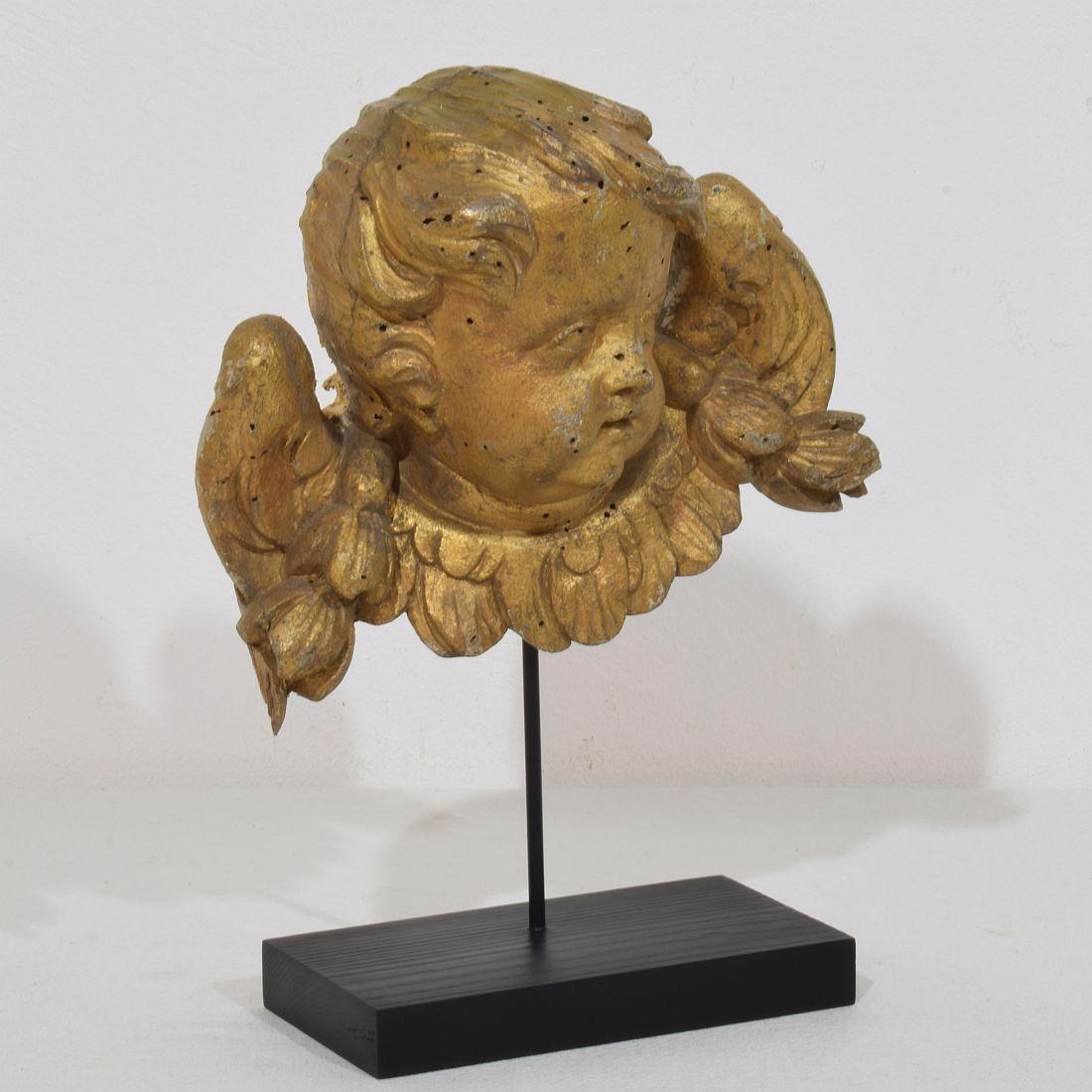 Italian French 18th Century Hand Carved  Baroque Winged Angel Head