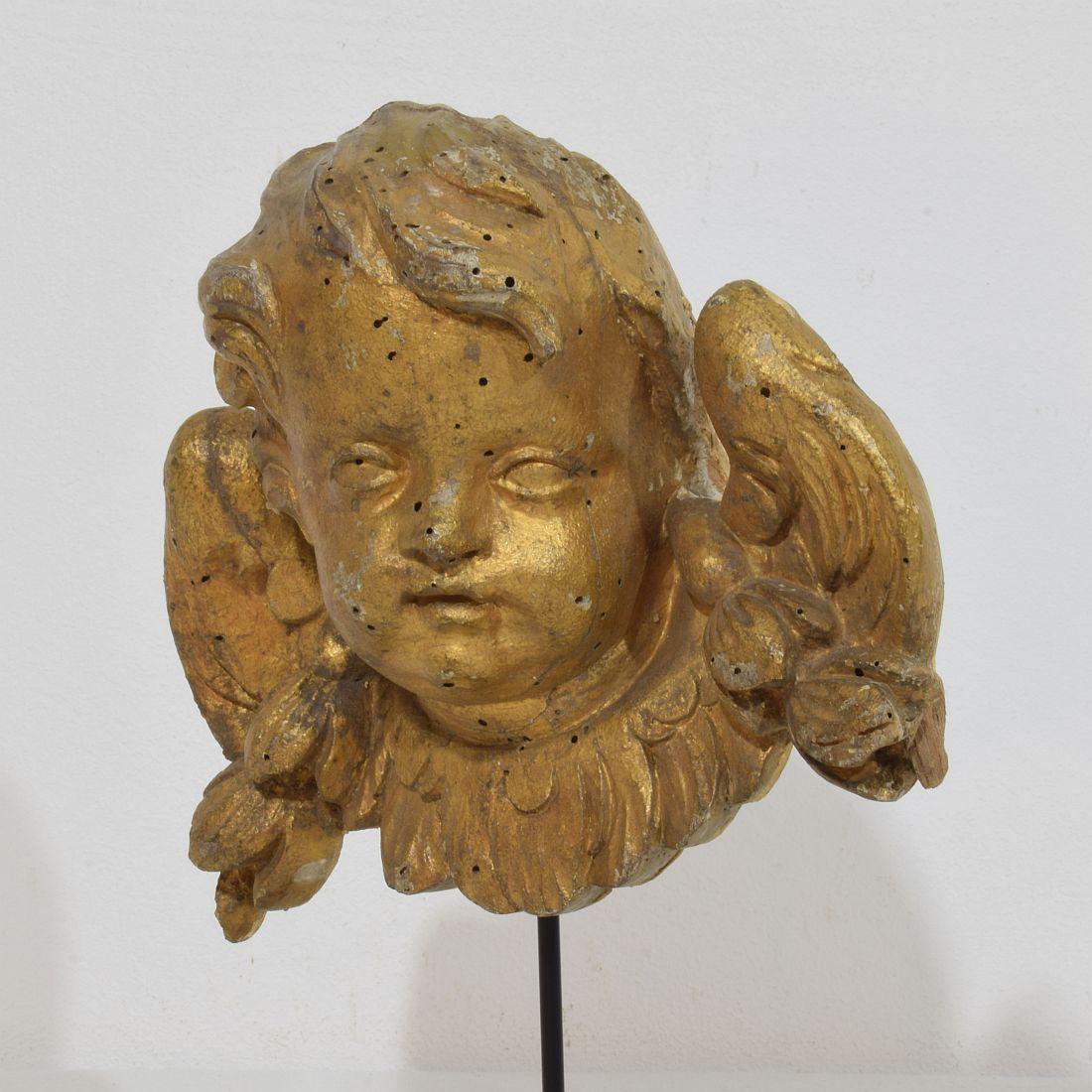 French 18th Century Hand Carved  Baroque Winged Angel Head 1