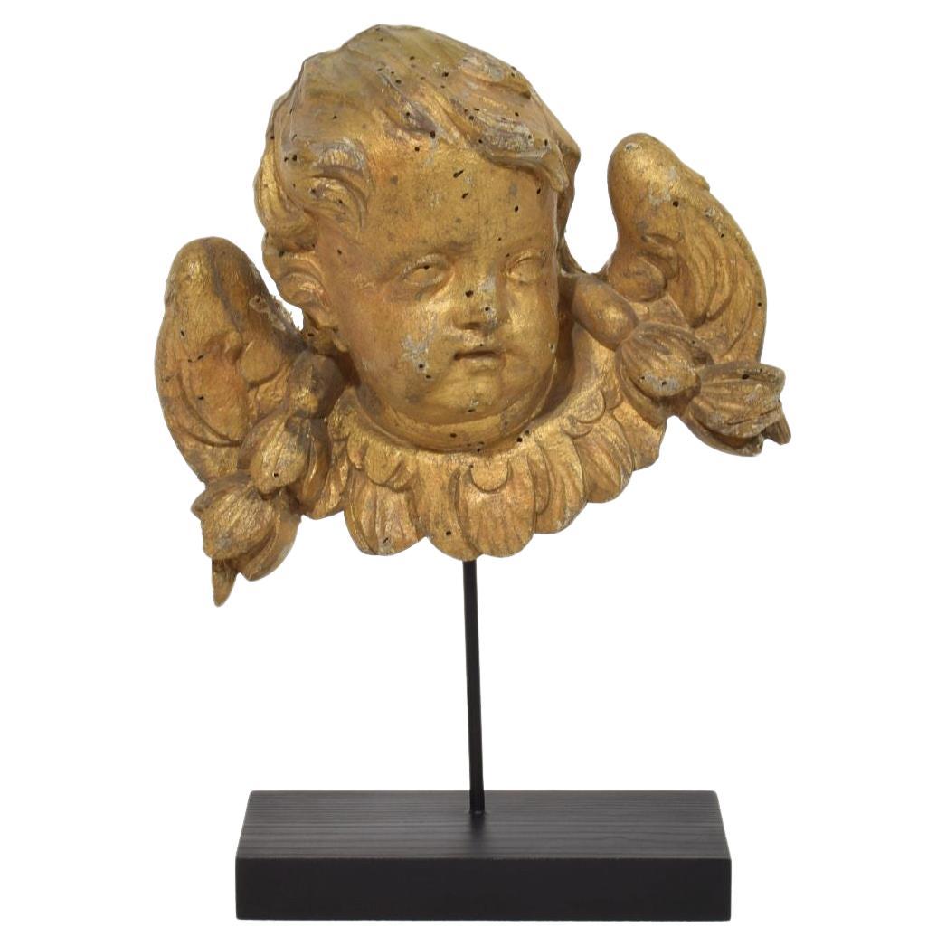 French 18th Century Hand Carved  Baroque Winged Angel Head